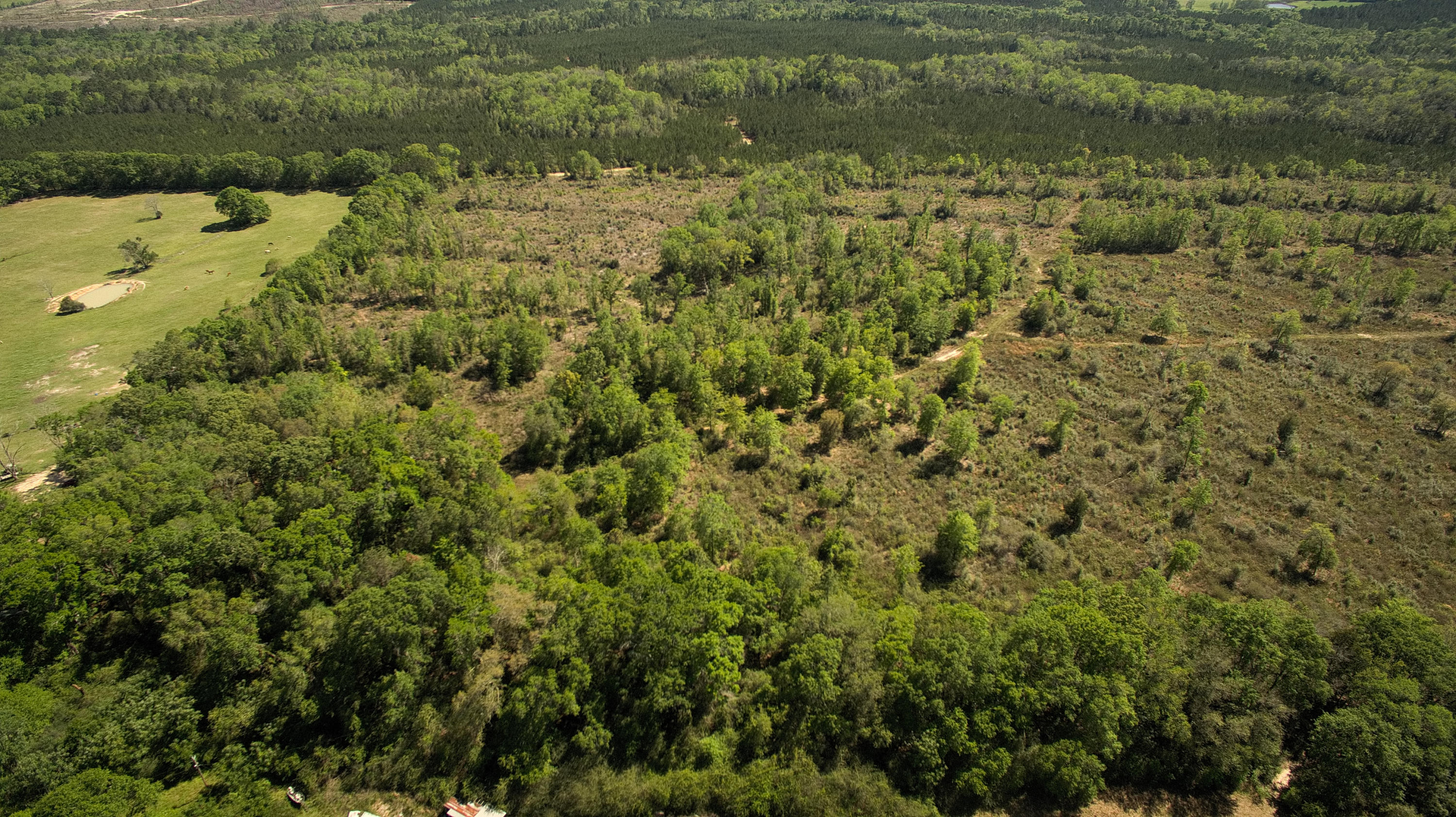 METES & BOUNDS - Land