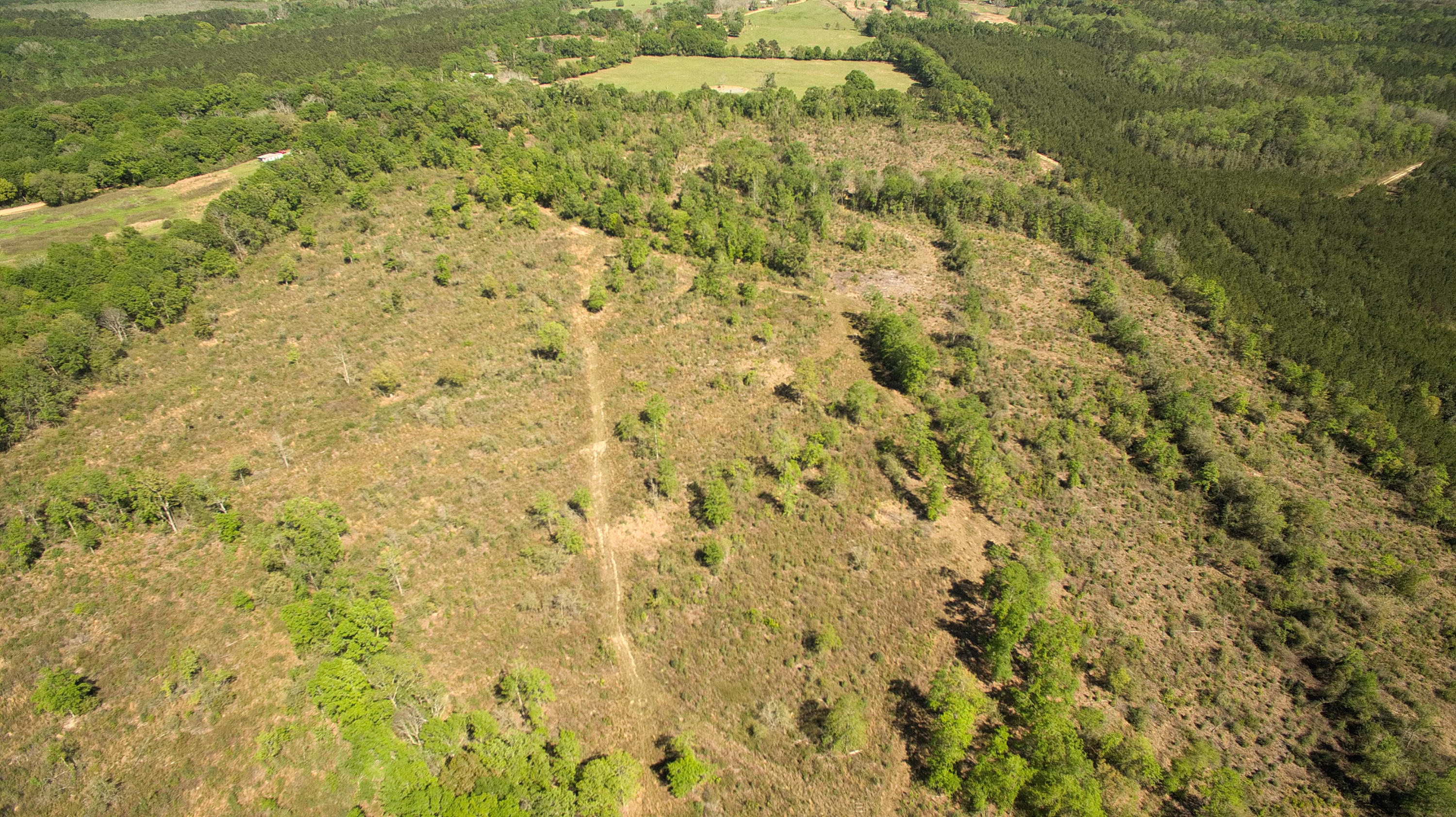 METES & BOUNDS - Land