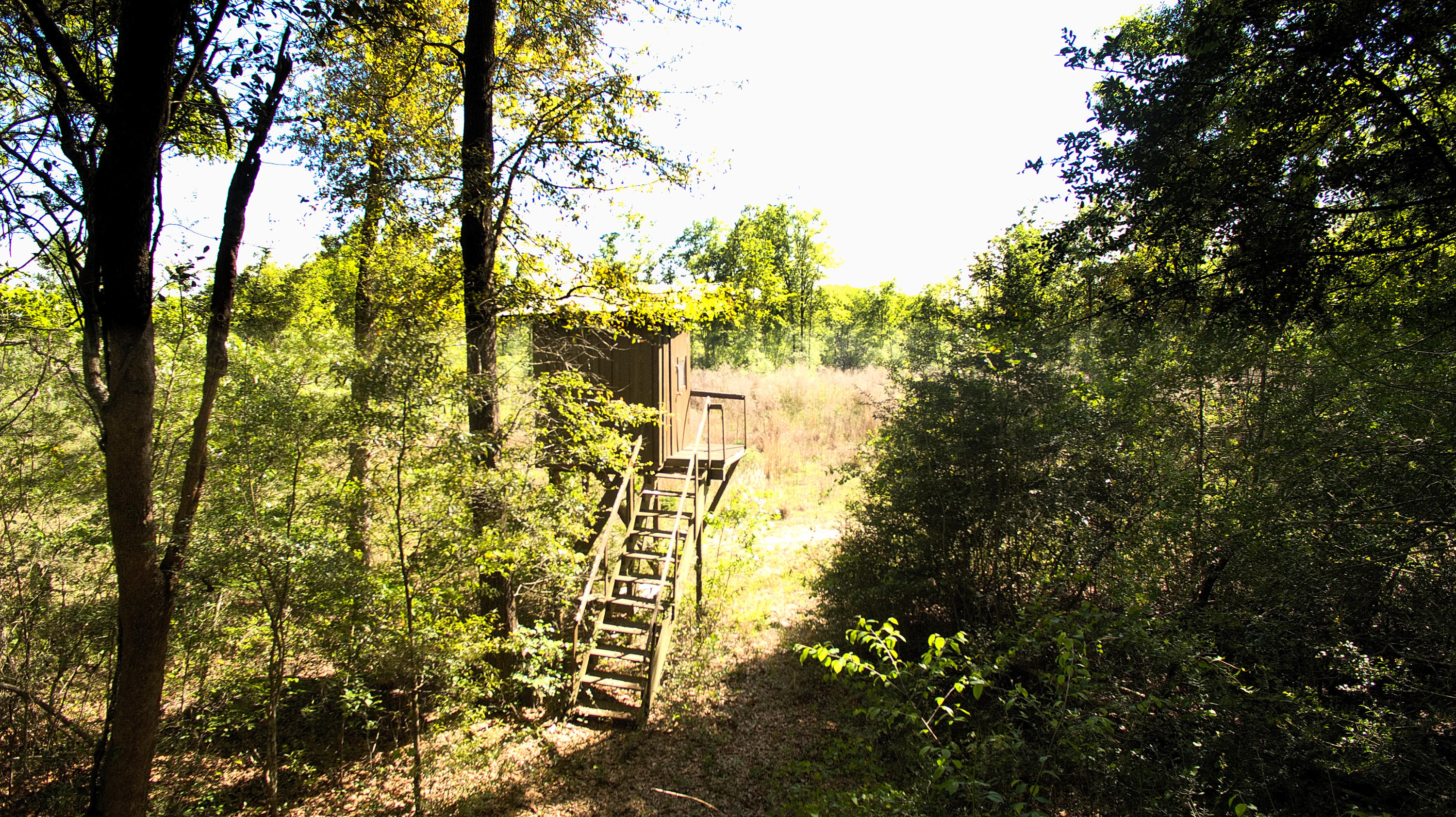 METES & BOUNDS - Land