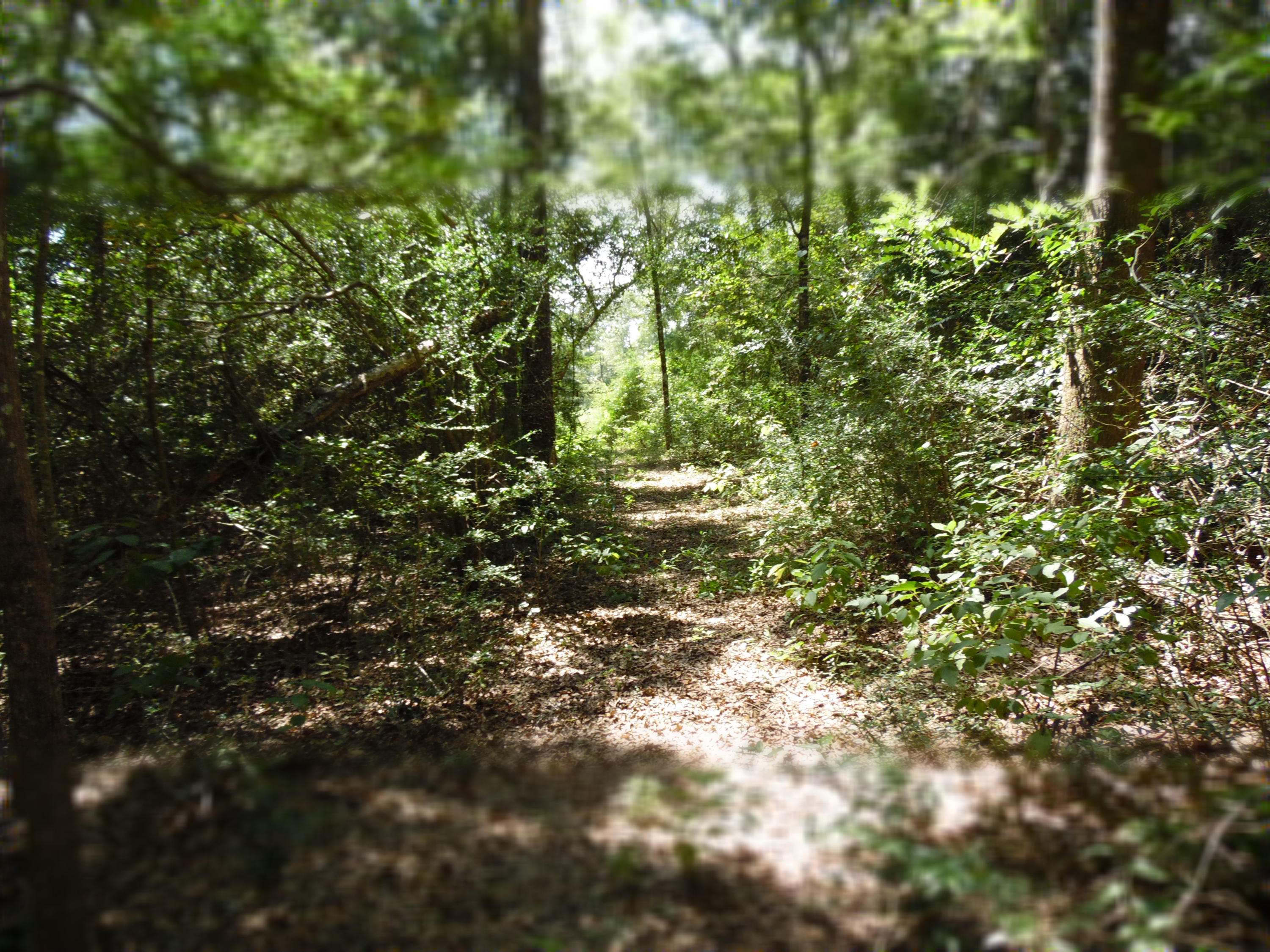 METES & BOUNDS - Land