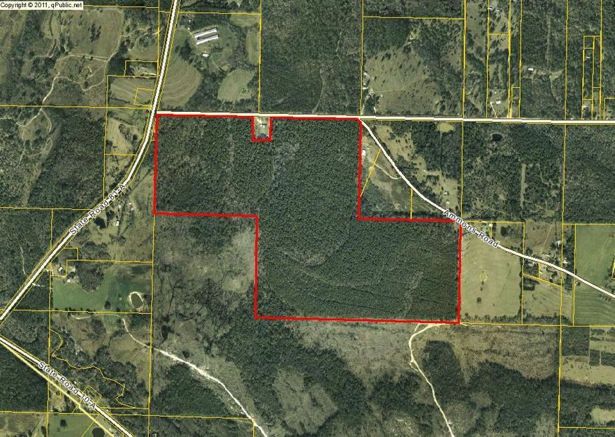 Property does have a small hunting mobile home trailer by the driveway and #1382 mailbox end of the property, deep well, septic and small green metal barn. Property has been used for deer hunting...lots of wildlife. Property was timbered a few years ago, natural re-conservation has taken place. Could still be cleared and put into pasture if desired by the buyer. Lots of wildlife customary to the area. Coming off Hwy 90 West at Argyle you can turn on Hwy 10A, go appx. 4 miles, turn left on 81-A, go 1/2 mile and turn on Grant Road. There is appx. 1 mile of Hwy.frontage on this county maintained road (less a 1.75 parcel cutout). CLICK ON ''more'' TO READ FURTHER DETAILS