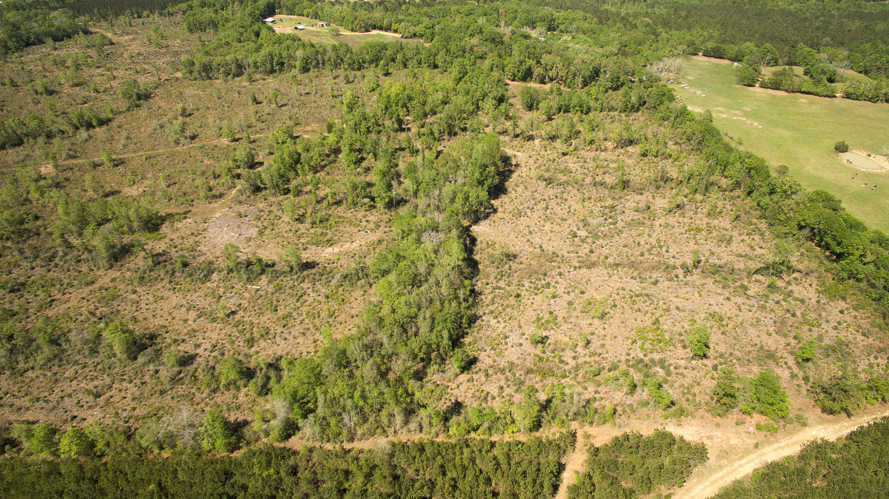 METES & BOUNDS - Land