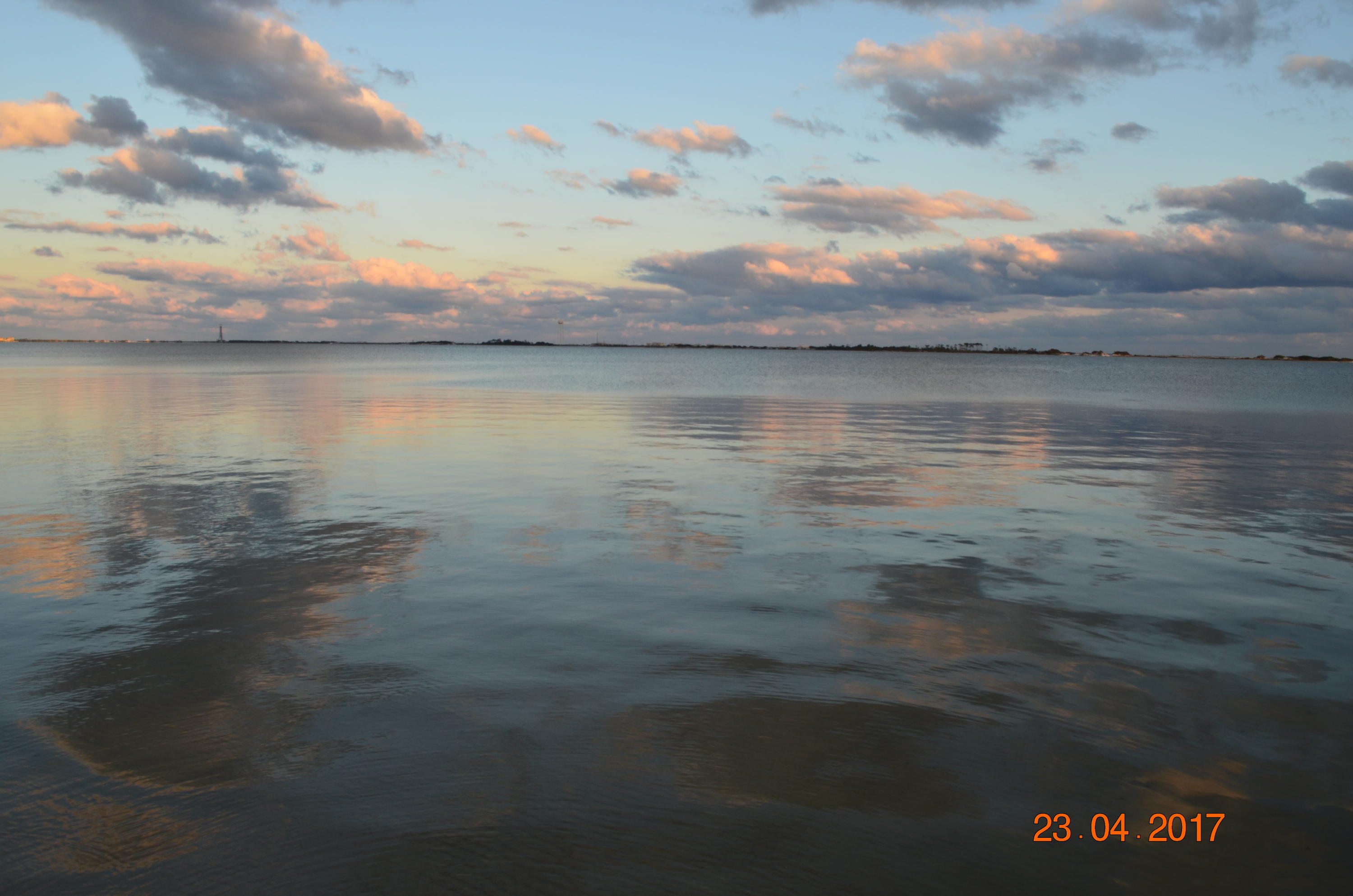 PALMETTO LAKE PRESERVE - Residential