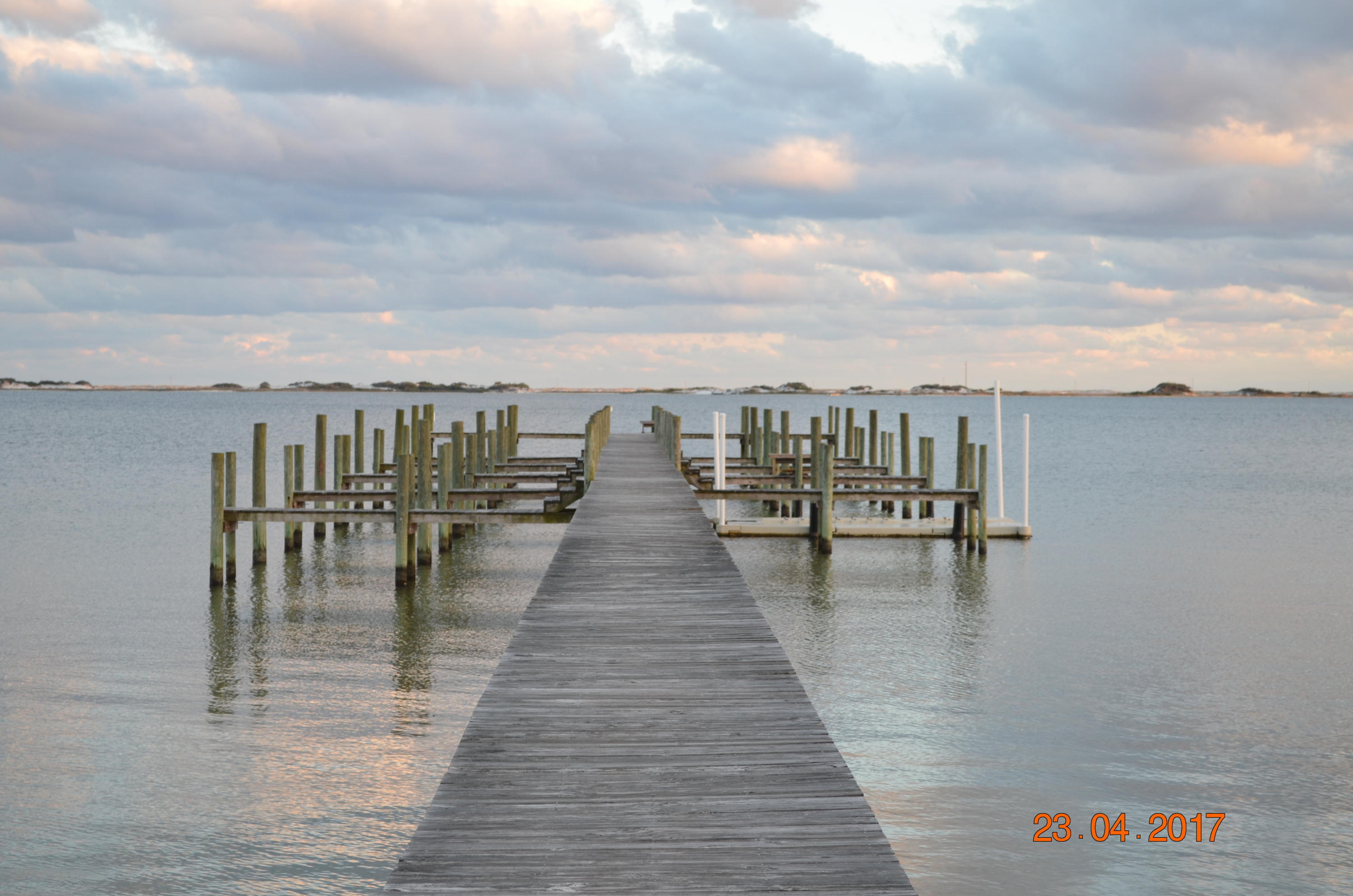 PALMETTO LAKE PRESERVE - Residential