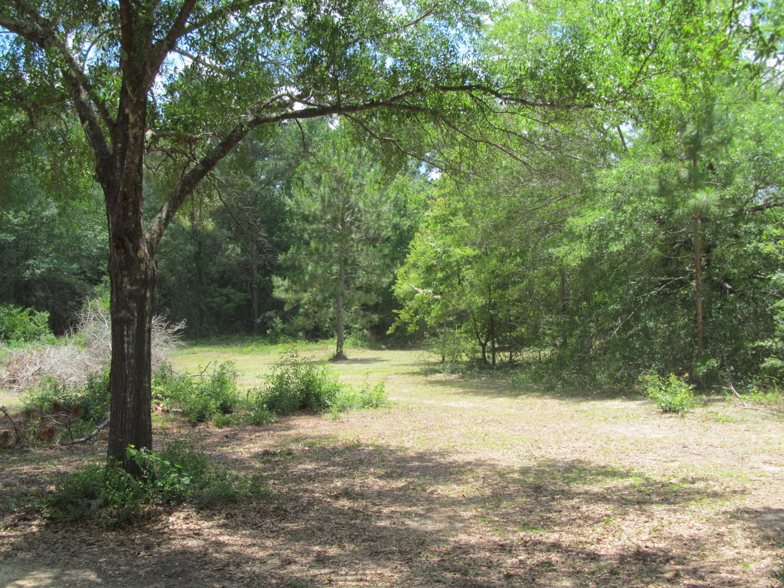 2.5 acre parcel. Perfect for a mobile home. Power pole and electric meter in place. partially cleared. Priced to sell.