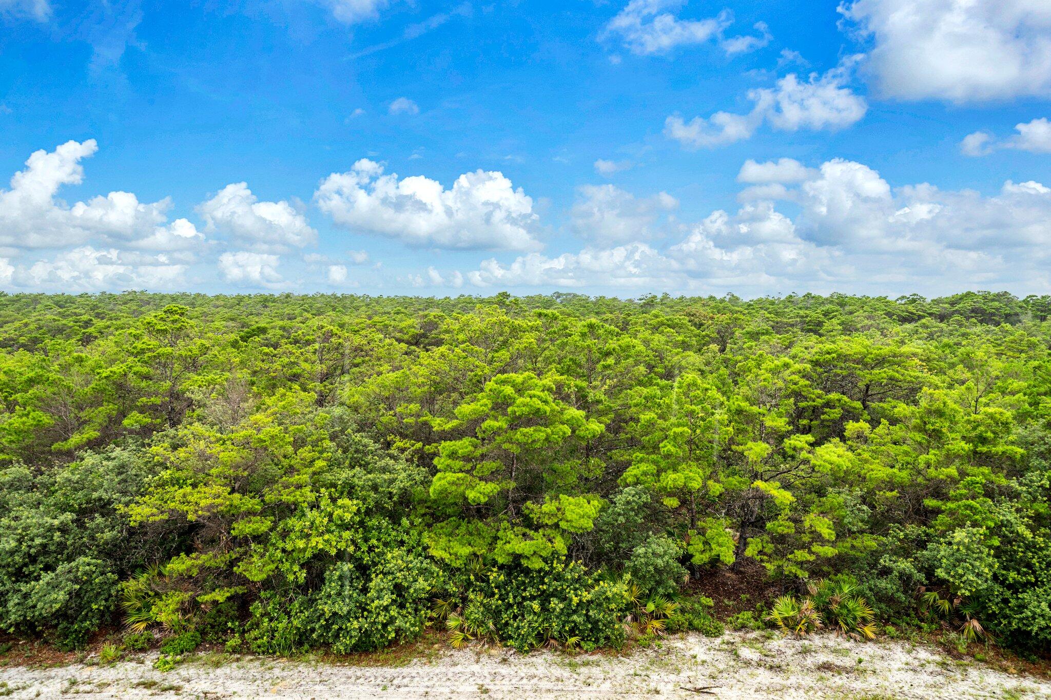 CYPRESS DUNES - Residential