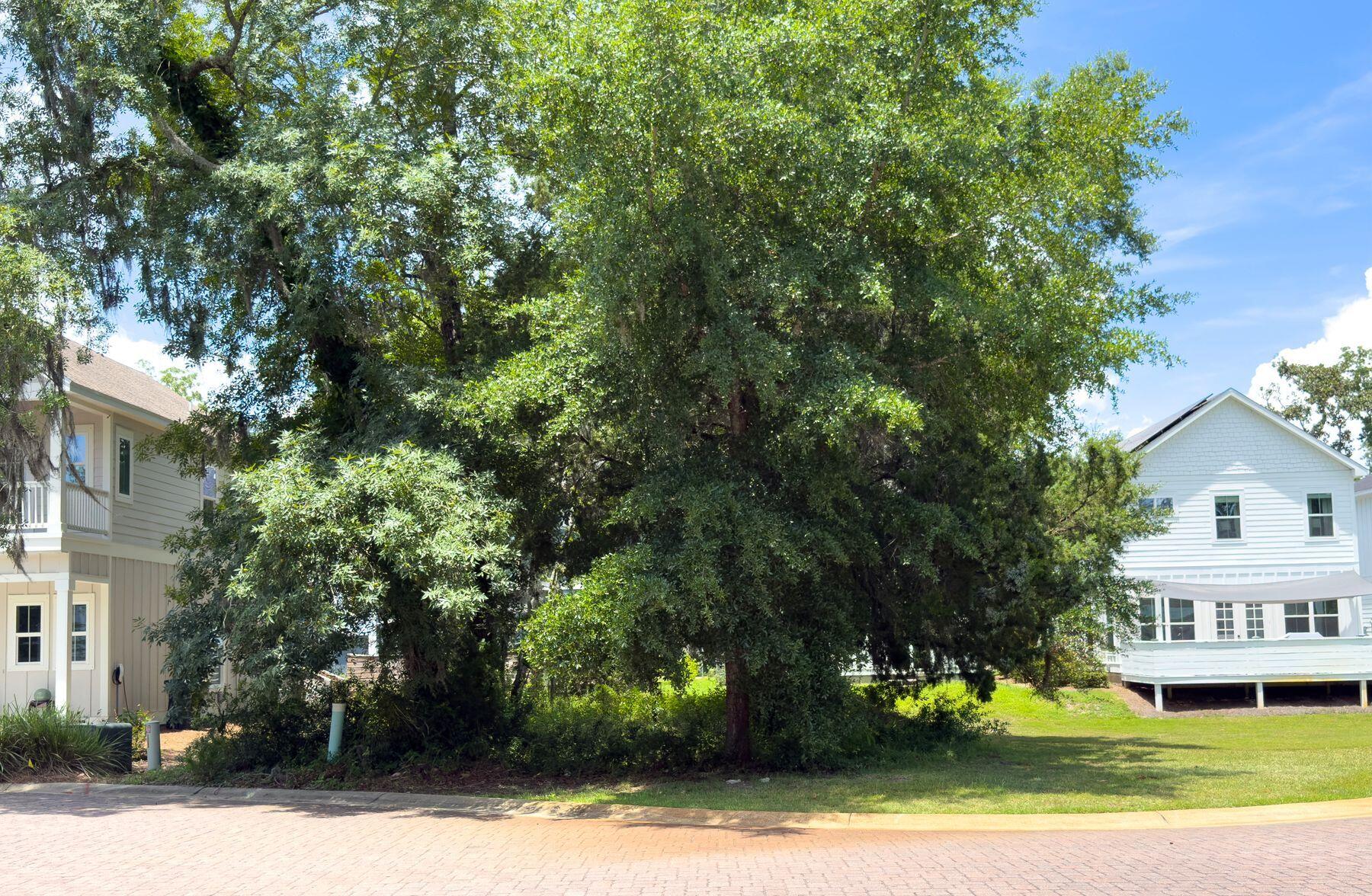 SACRED OAKS PH 2 - Land