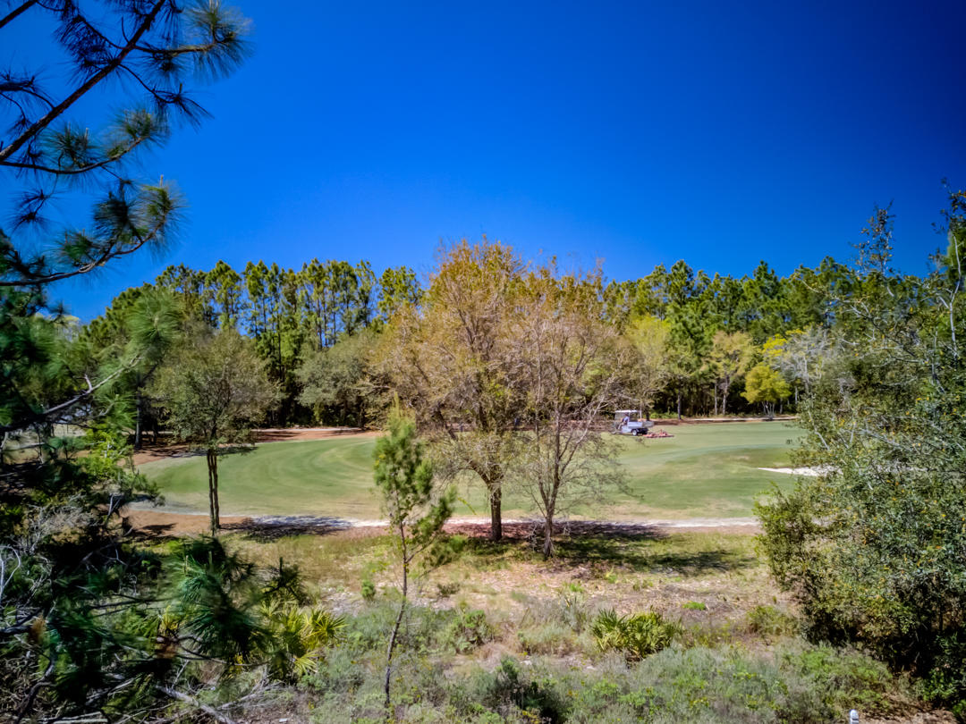 WILD HERON PHASE I - Land