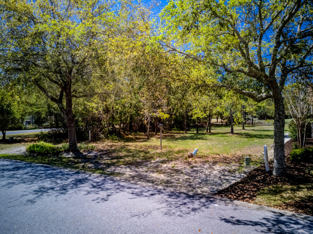 WILD HERON PHASE I - Land