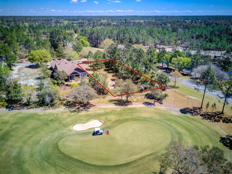 Great deal!! Prime location!! This beautiful corner lot in Wild Heron is located on the fourth green of the Greg Norman designed Shark's Tooth Golf Course. Wild Heron, bordering the largest dune lake in Northwest Florida, Lake Powell, is a private, gated community featuring a Boathouse, Tennis Courts, Health Club, Community Pool, Fire Pit and more. Conveniently located on the west end of Panama City Beach, near Carillon and 30A, Wild Heron is 20 minutes from the Northwest Beaches International Airport. Meadowlark Way has beautiful estate sized homes. An ideal location to build a dream home.