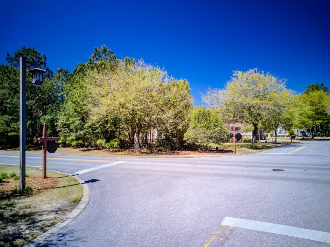 WILD HERON PHASE I - Land