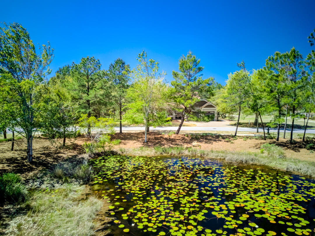 WILD HERON PHASE I - Land