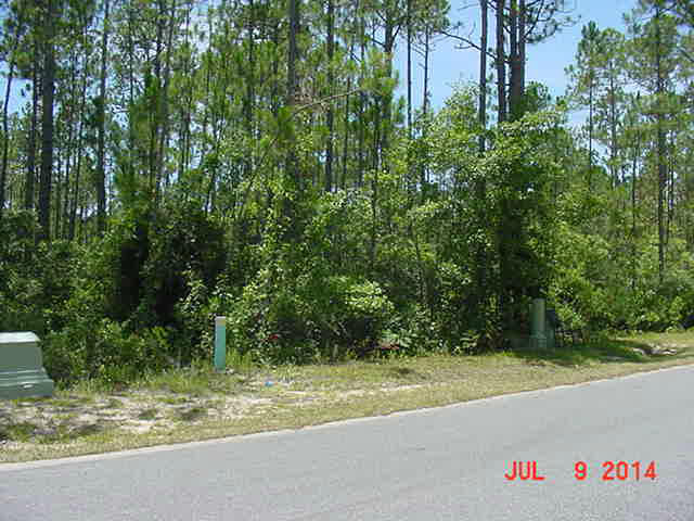 HARSTVEDT PLANTATION - Land