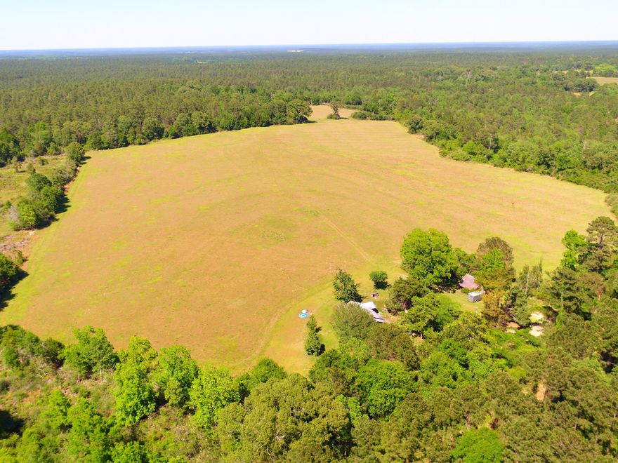 I am excited to share with you all. I have an Amazing Good O'l American Historic Land. Homesteaded Land back in1908. The original parcel was deeded to the Wallace family from the United State Of America. Now here's the Best Part, The Original Deed is Signed by The 26th President himself, no other than President Theodore ''Teddy'' Roosevelt Jr. This Gorgeous Land offers 2 Creeks, 3 springs, 38 Acres Of Coastal Hay field that provides on average $10,500 a year depending on the market, Which could be expanded to gross more. plenty of deer and turkey hunt. Also this property has 2 deep water wells (water lines running to all pastures) and electricity. Recently s
