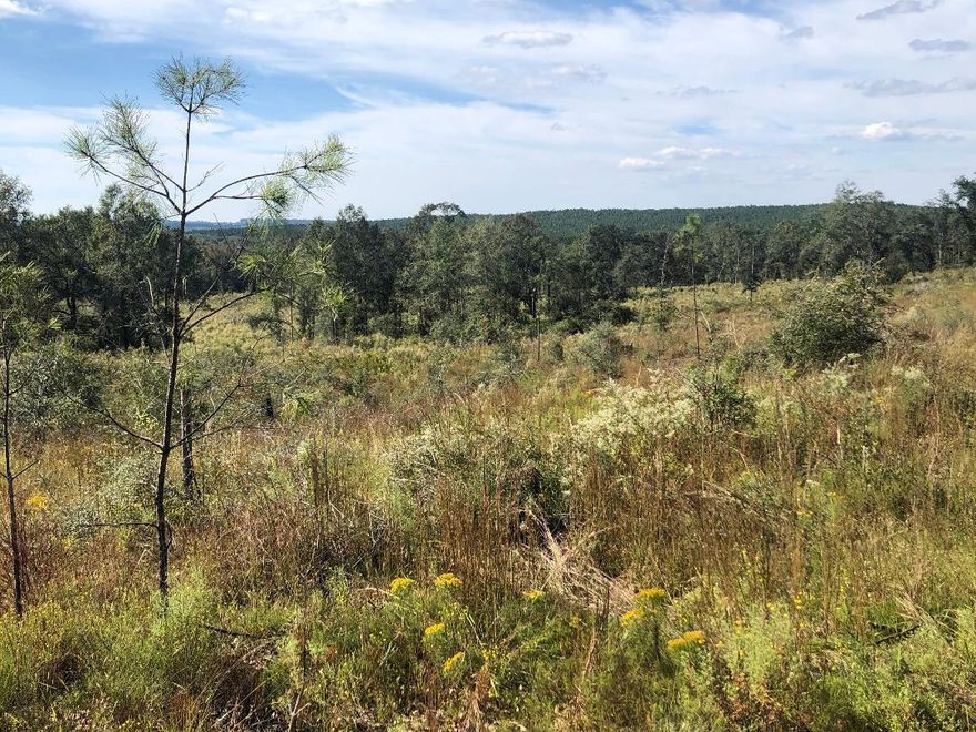 THIS 40 ACRE TRACT IS ON OF THREE TRACTS OFFERED FOR SALE. THESE TRACTS ARE SIDE BY SIDE WITH THIS TRACT BEING TO THE CENTER. THE VIEWS ON THIS TRACT ARE INCREDIBLE. YOU CAN ACTUALLY SEE FOR MILES!THE PROPERTY HAS BEEN CLEARED AND IS SCHEDULED TO BE PLANTED IN PINES IN DECEMBER..DEER AND TURKEY ARE PLENTIFUL. SELLER IS A FLORIDA LICENSED REALTOR