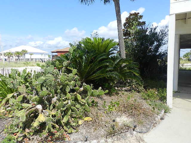 NONESUCH WAY - Residential