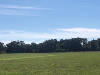 METES & BOUNDS - Farm