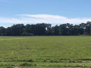 METES & BOUNDS - Farm