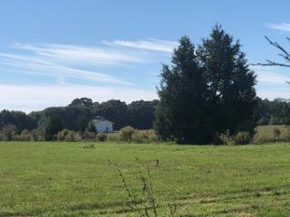 METES & BOUNDS - Farm