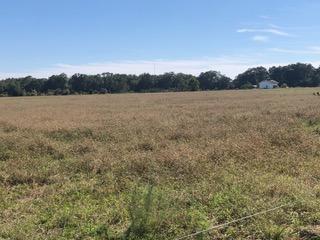 METES & BOUNDS - Farm