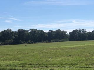 METES & BOUNDS - Farm