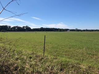 METES & BOUNDS - Farm