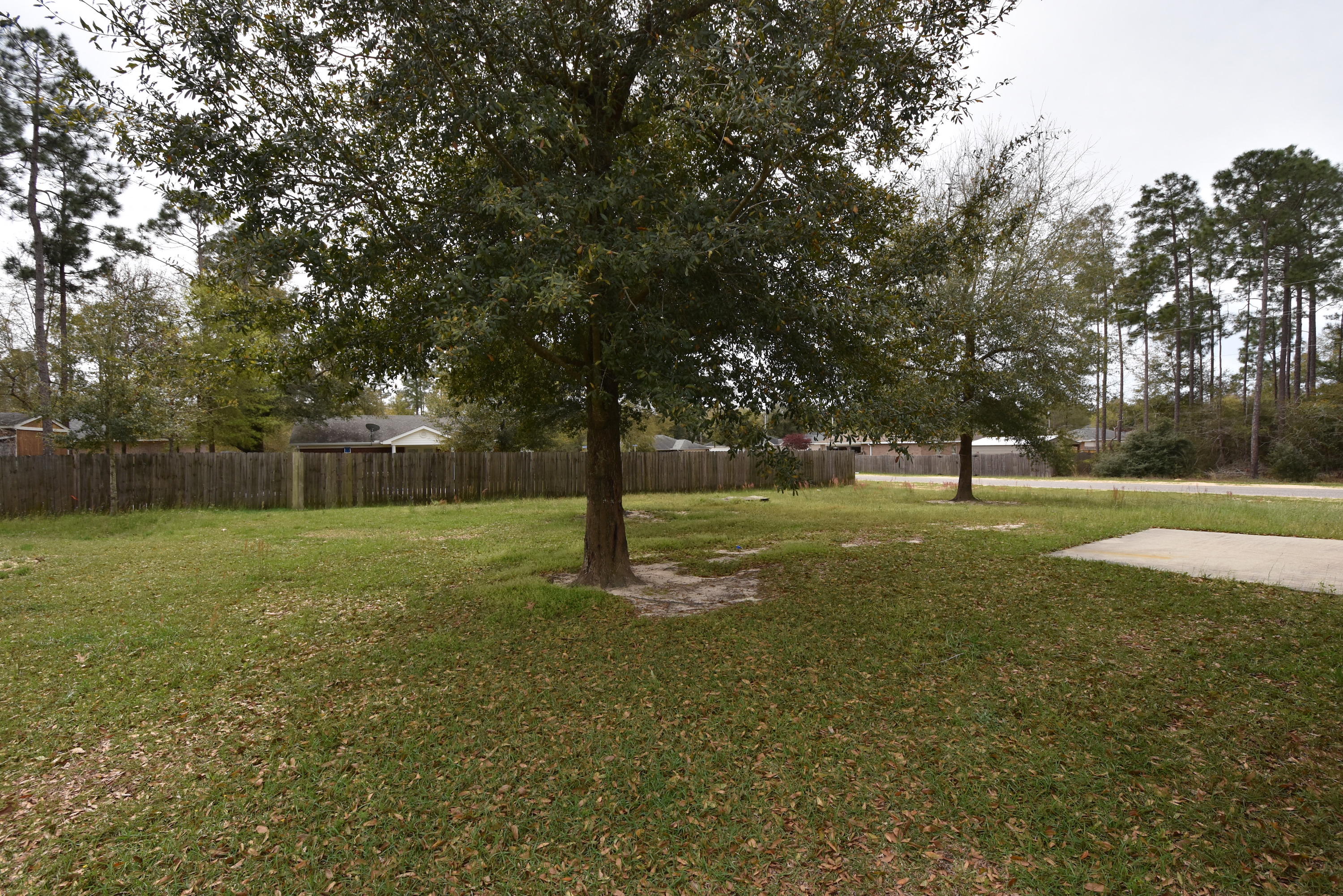 The Pines S/D - Residential