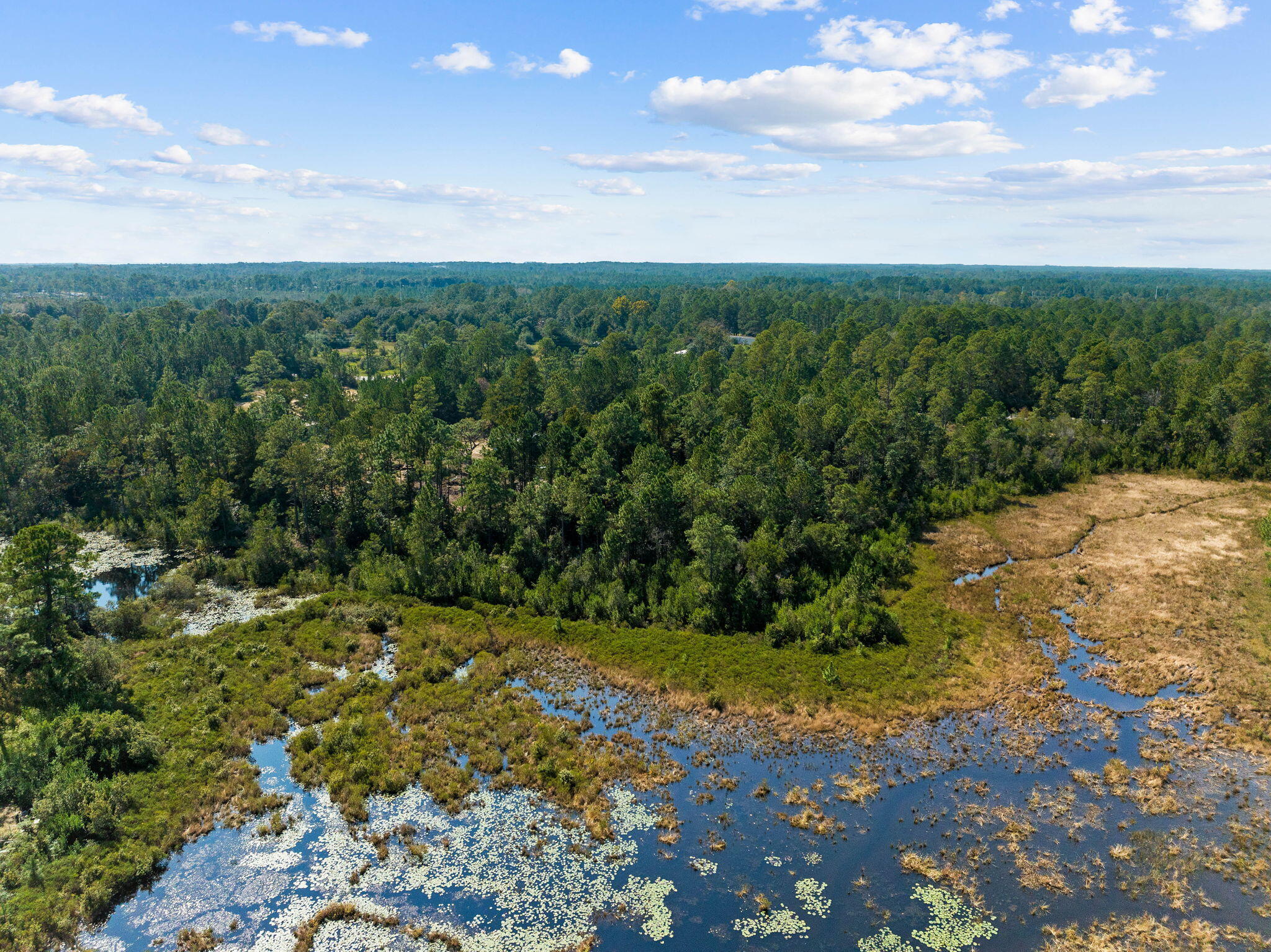 LAKE ROSEMARY ESTATES UNIT 1 - Land