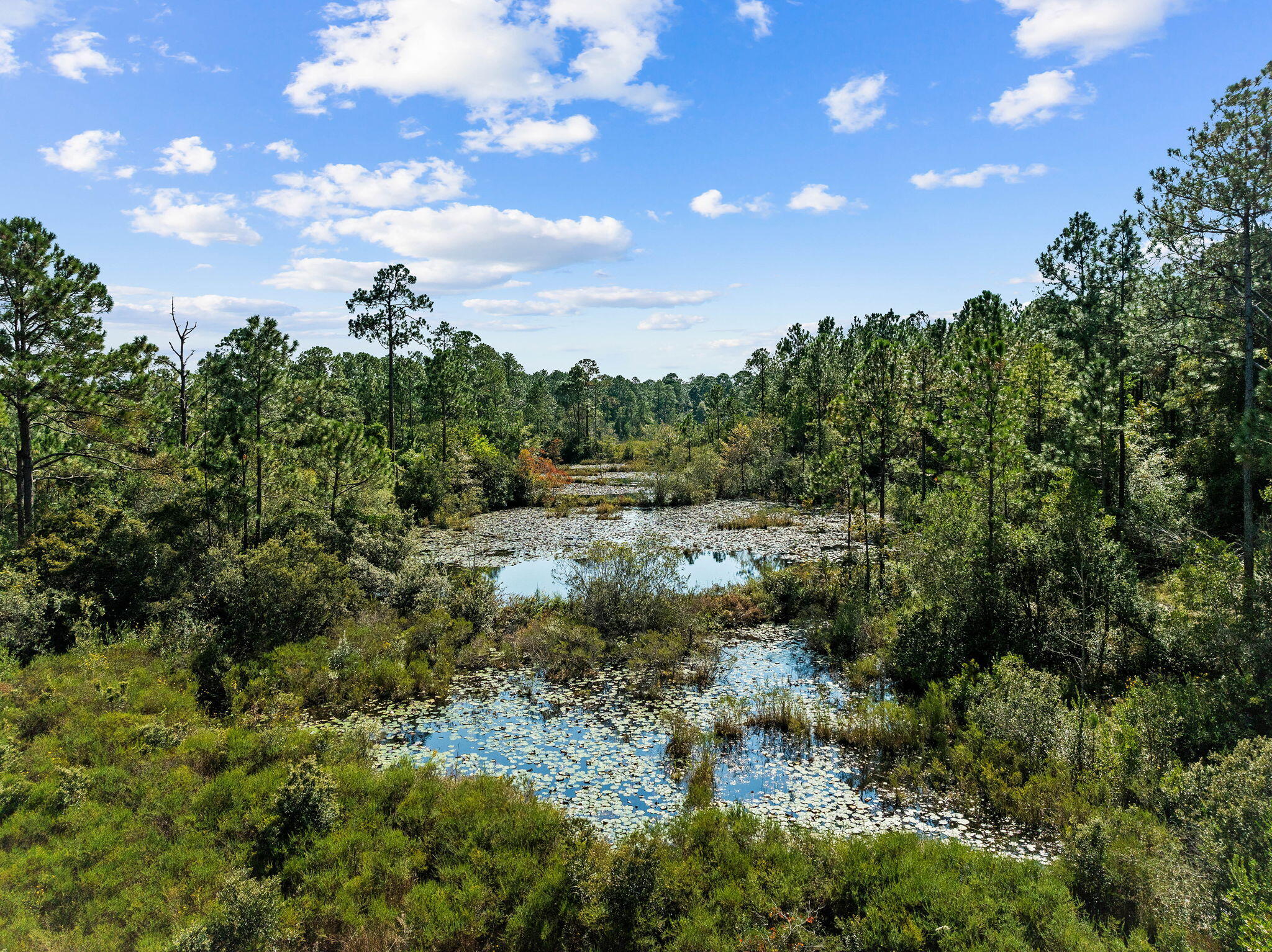 LAKE ROSEMARY ESTATES UNIT 1 - Land