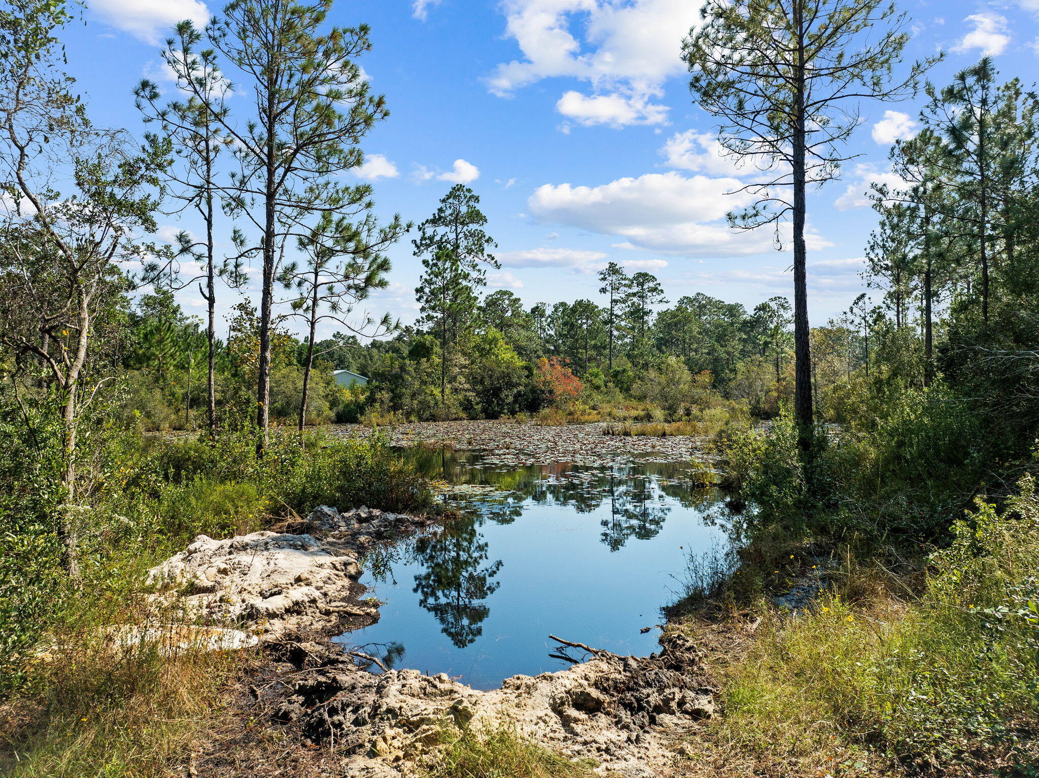 LAKE ROSEMARY ESTATES UNIT 1 - Land