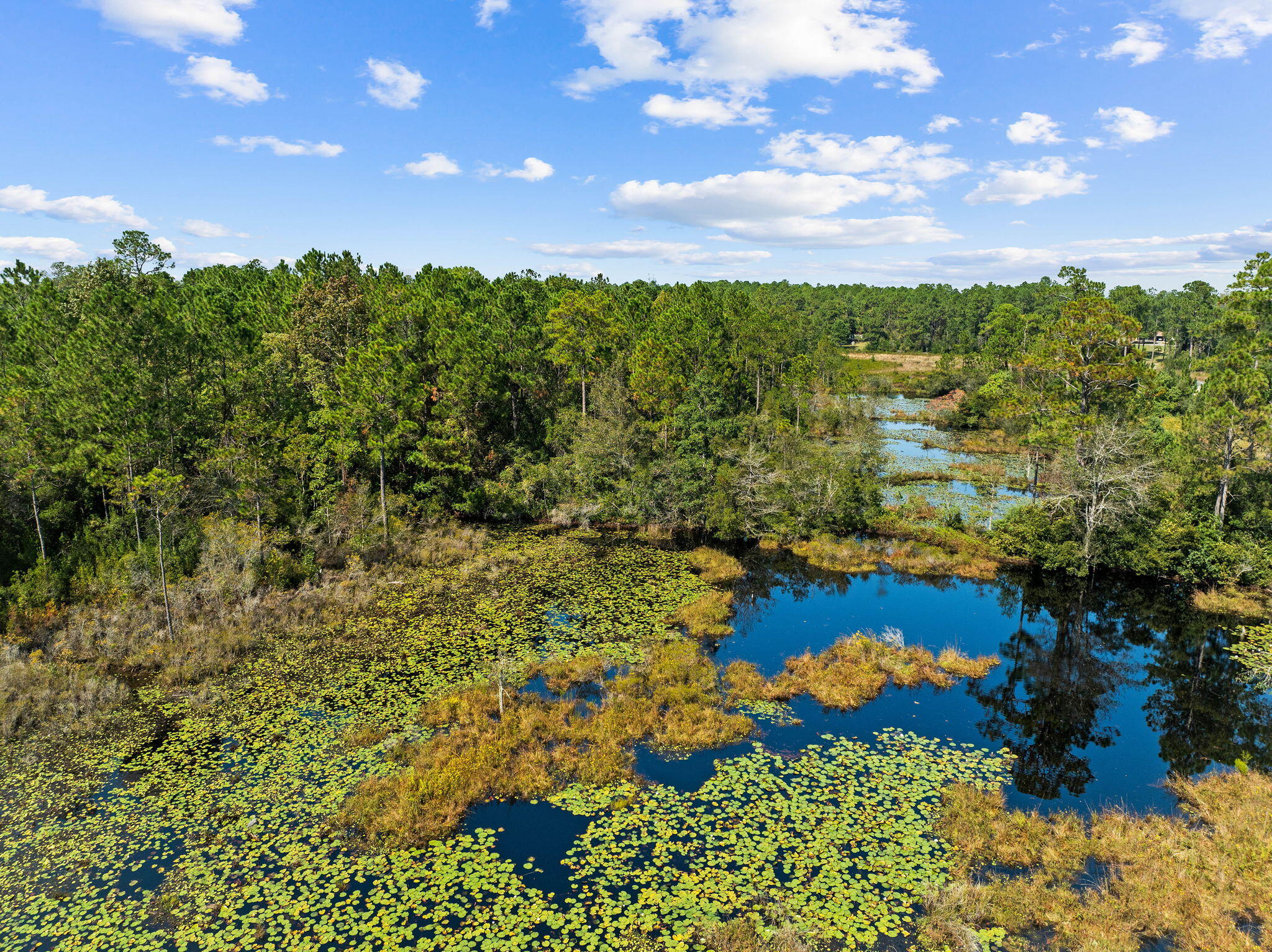 LAKE ROSEMARY ESTATES UNIT 1 - Land