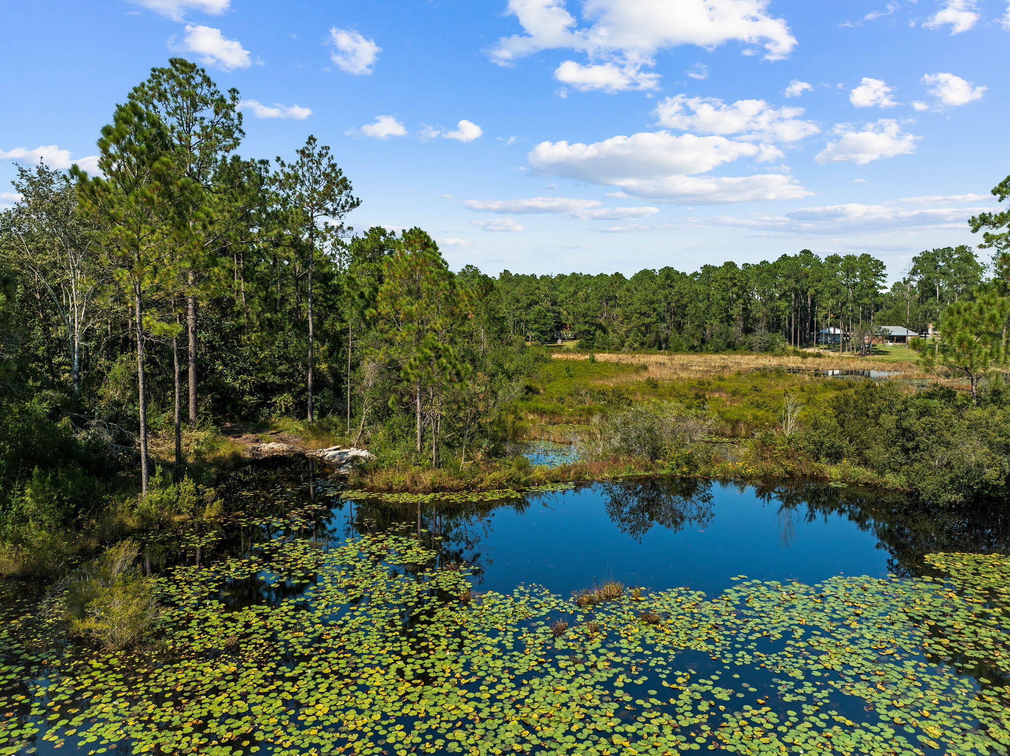 LAKE ROSEMARY ESTATES UNIT 1 - Land