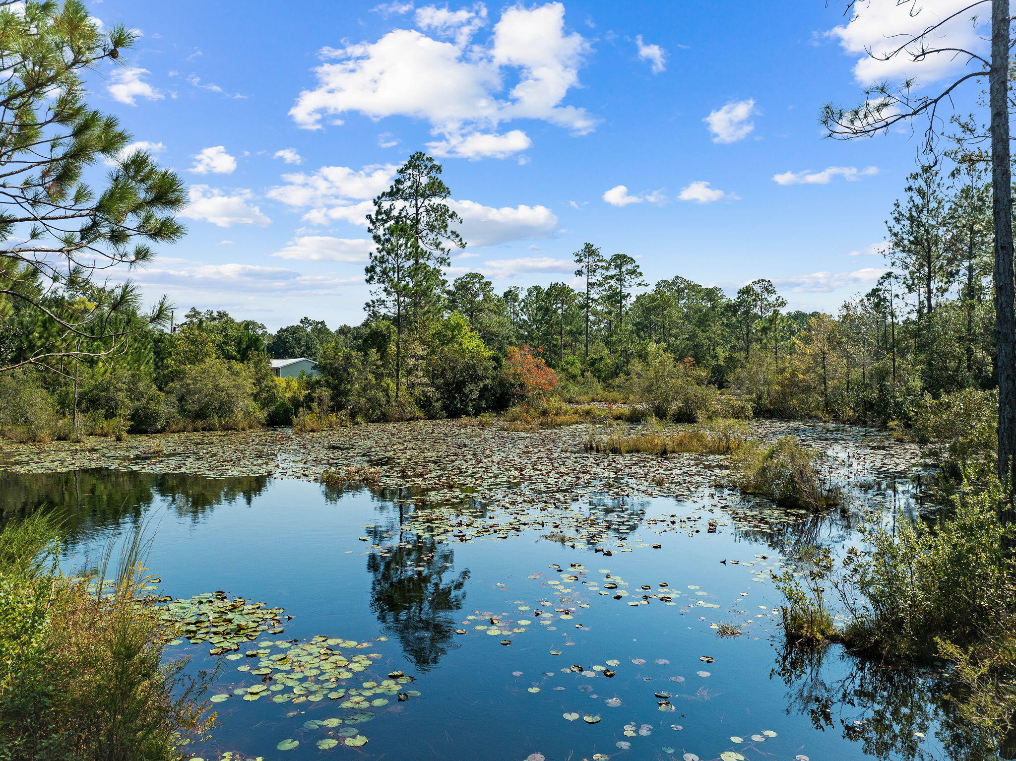 LAKE ROSEMARY ESTATES UNIT 1 - Land