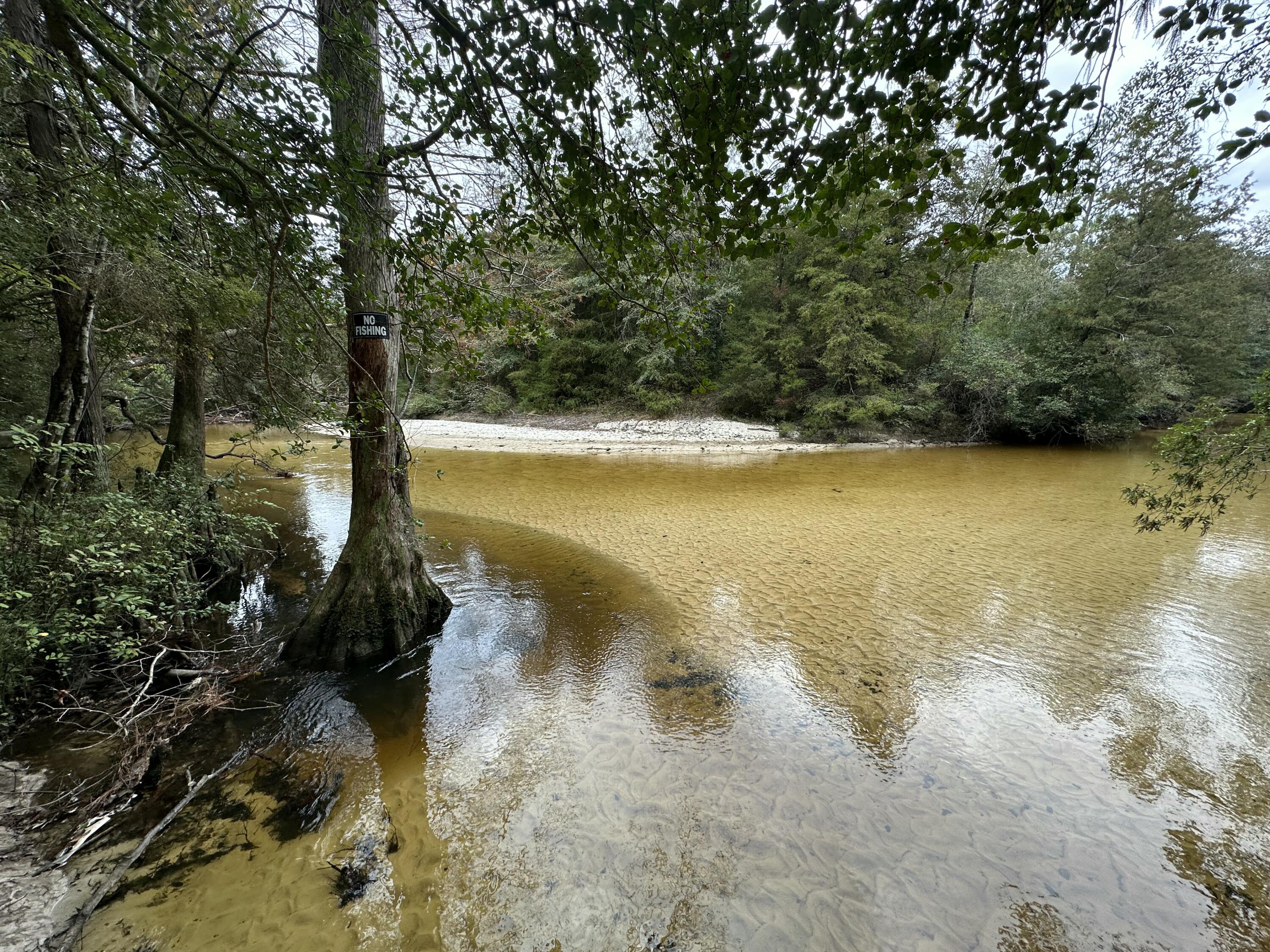 Outdoor Adventure Awaits!!!This 22 AC+/- property is loaded with mature Hardwood Trees, a camp shed, and so many feet of Creek front footage along pristine Pond Creek. Great potential for not only a home, but also a small hunting/recreation camp. Bring your horses, atvs, your boat and your adventurous side.