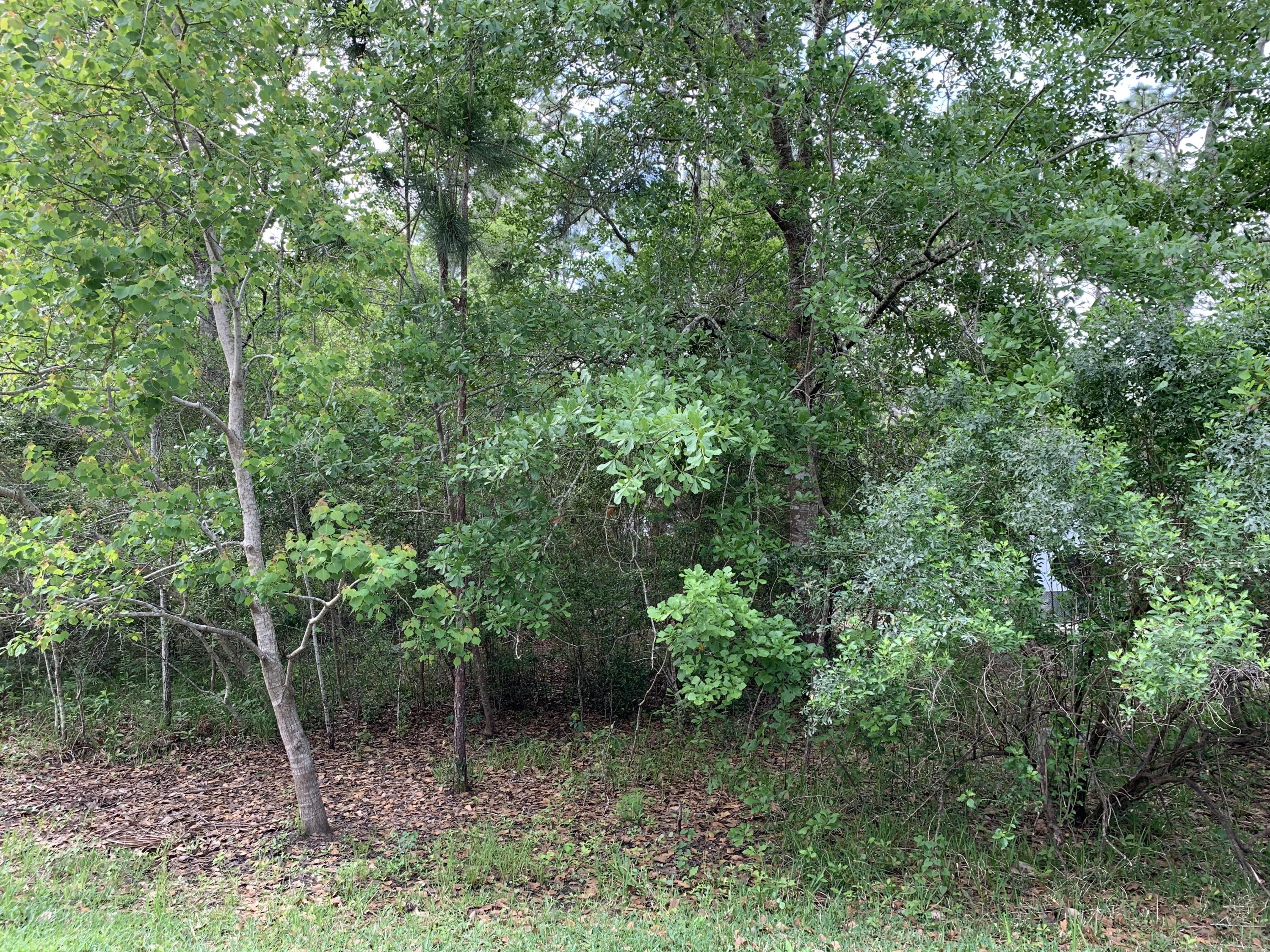 MAGNOLIA BEACH - Land