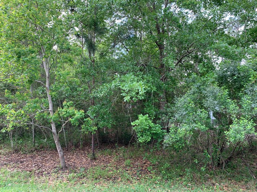 Great location in a beautiful neighborhood with NO HOA. Point Washington is conveniently located near shopping, dining, schools, bay and the Gulf of Mexico. All dimensions and information to be verified by buyer.