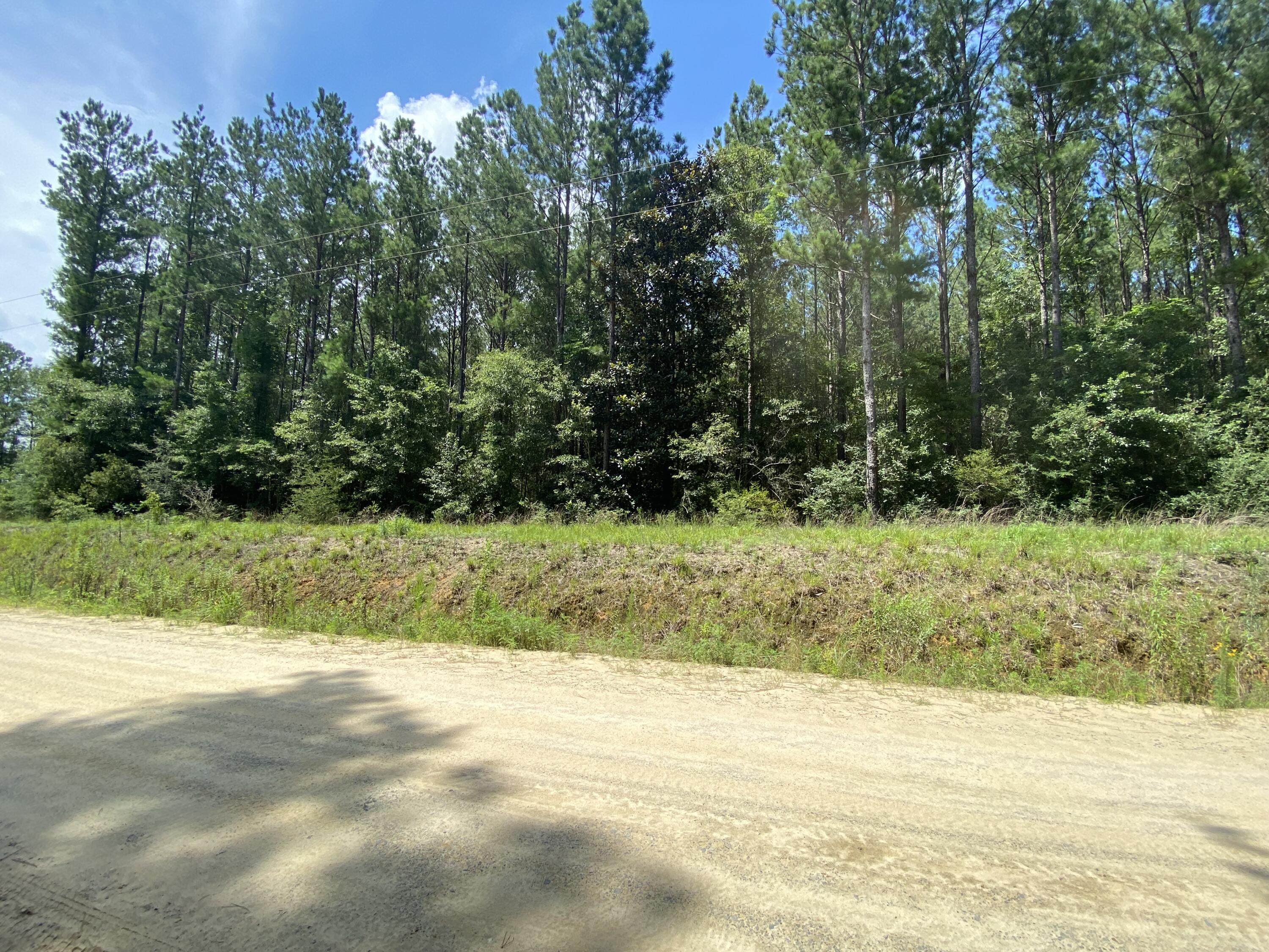 Metes and Bounds - Farm