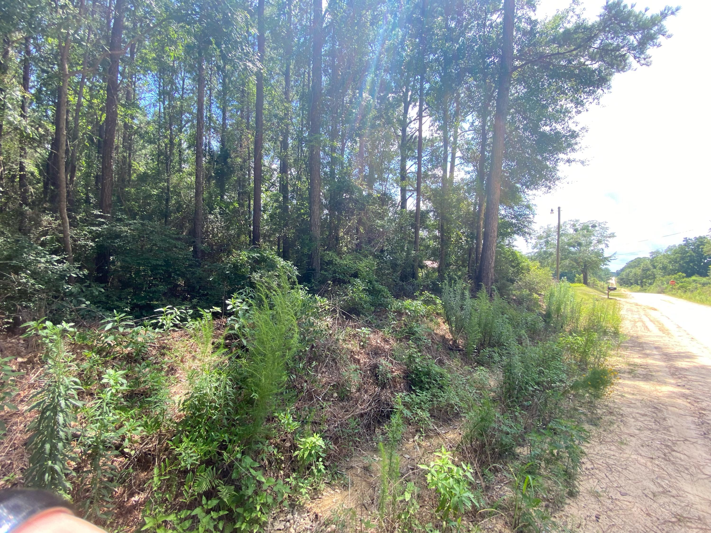 Metes and Bounds - Farm