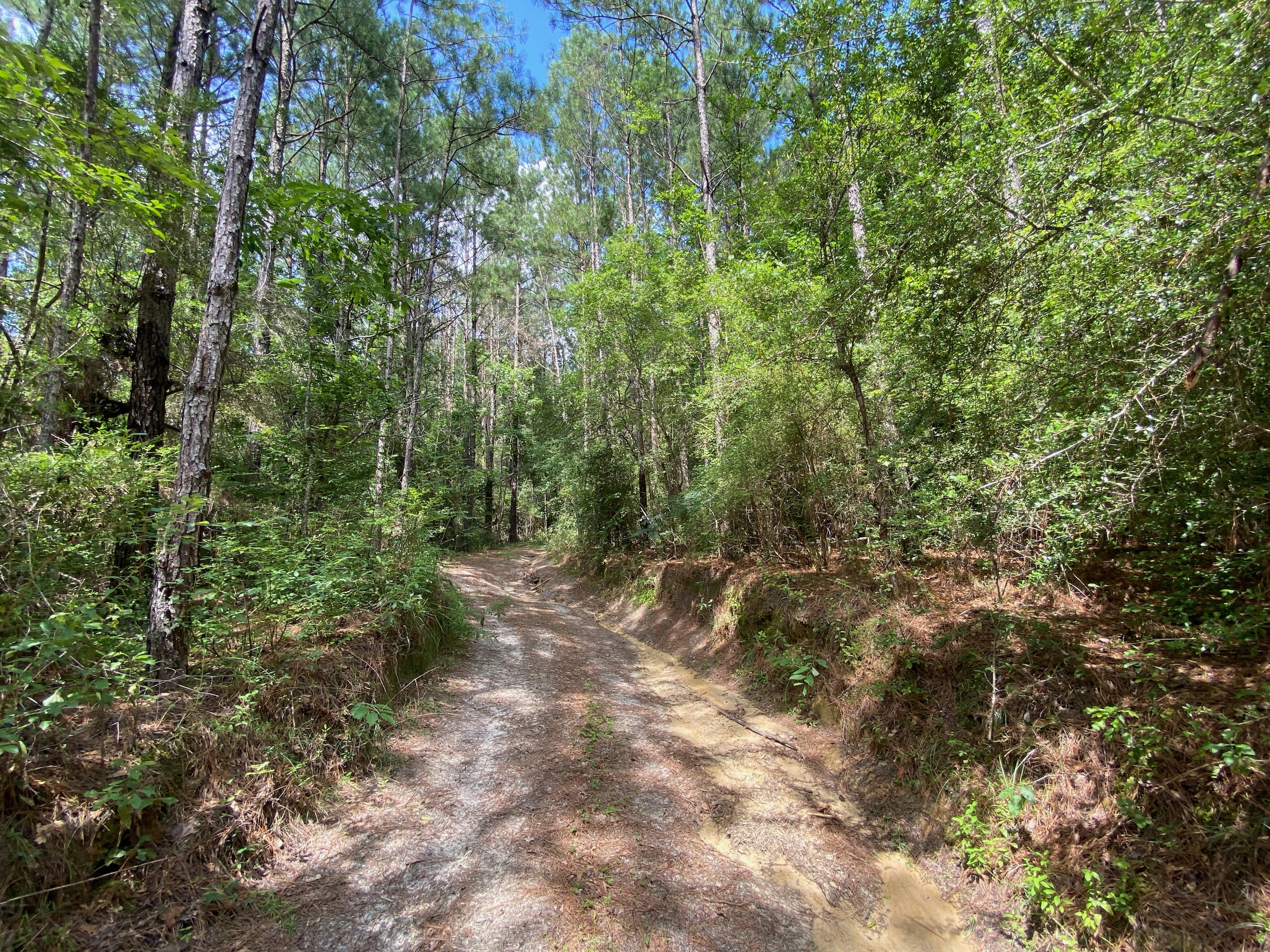 Metes and Bounds - Farm