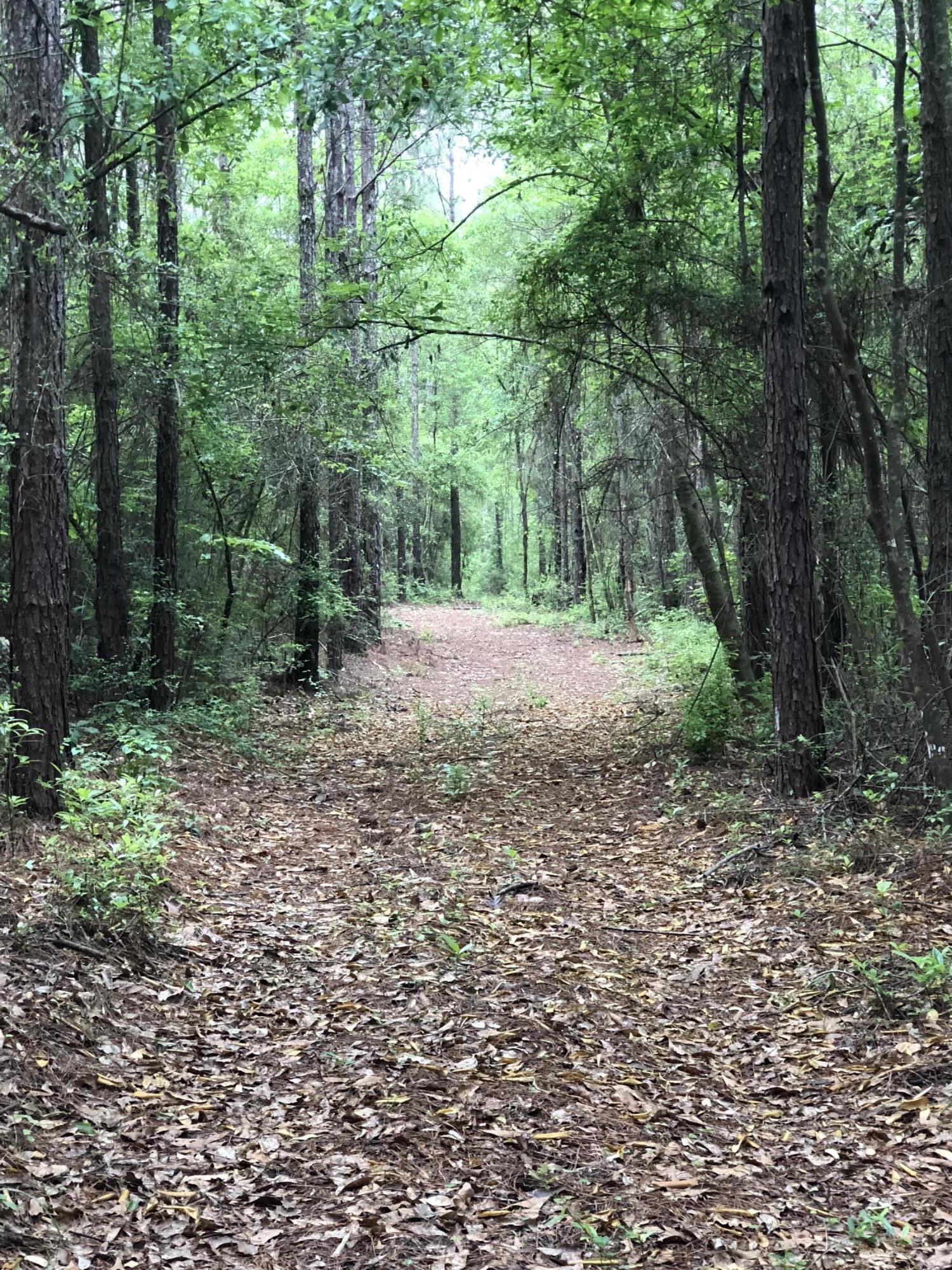 Metes and Bounds - Farm