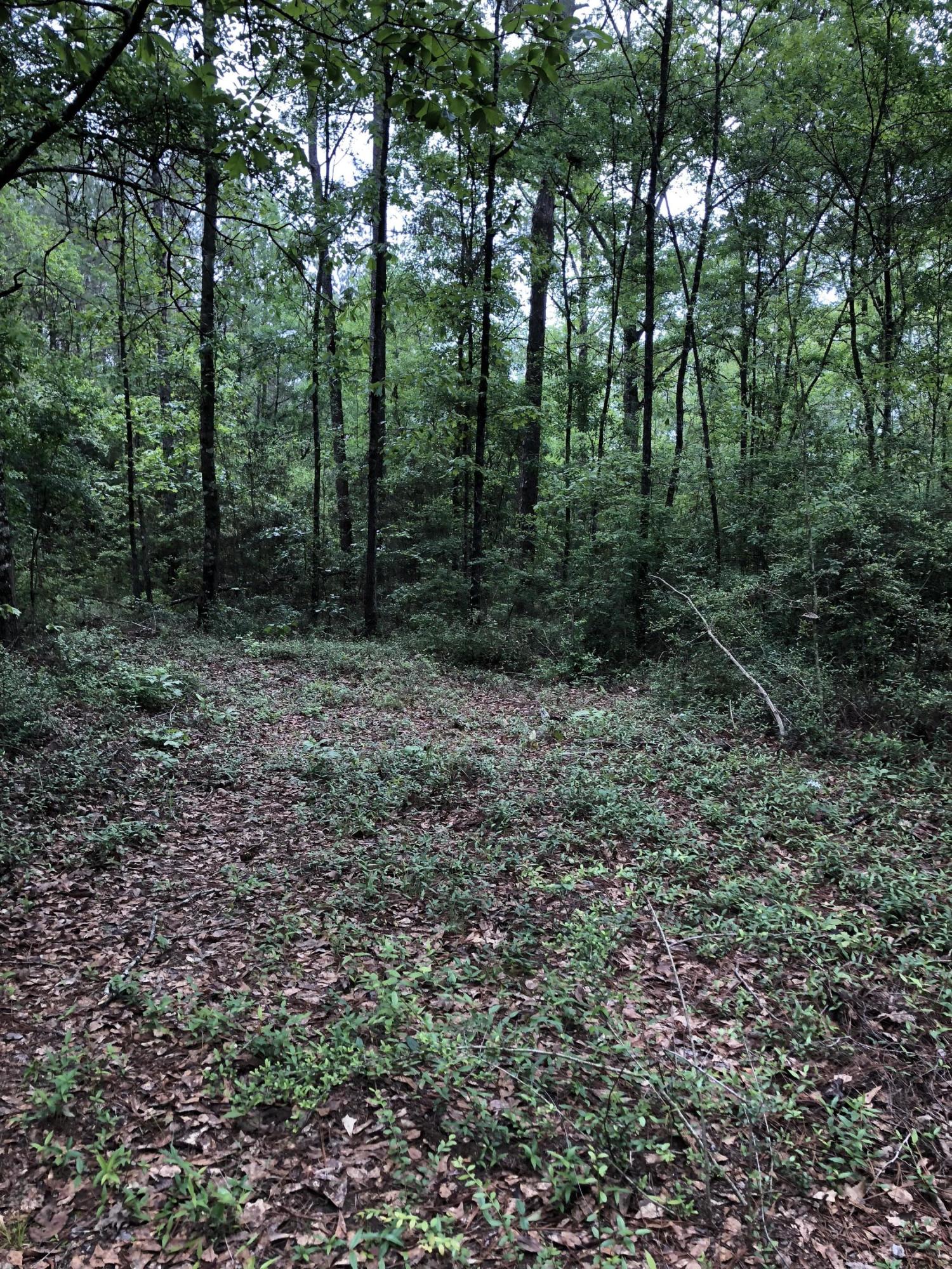 Metes and Bounds - Farm