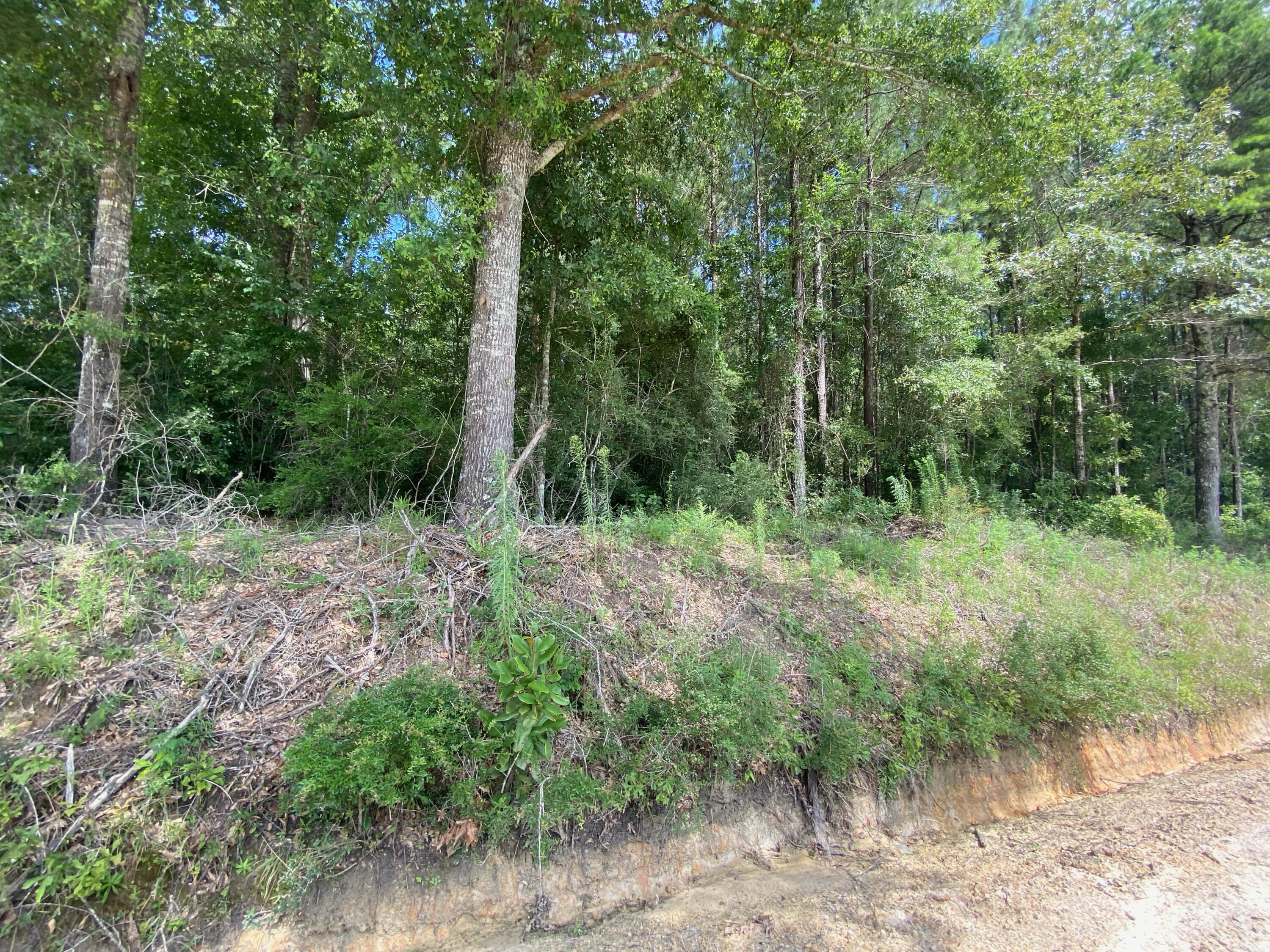 Metes and Bounds - Farm