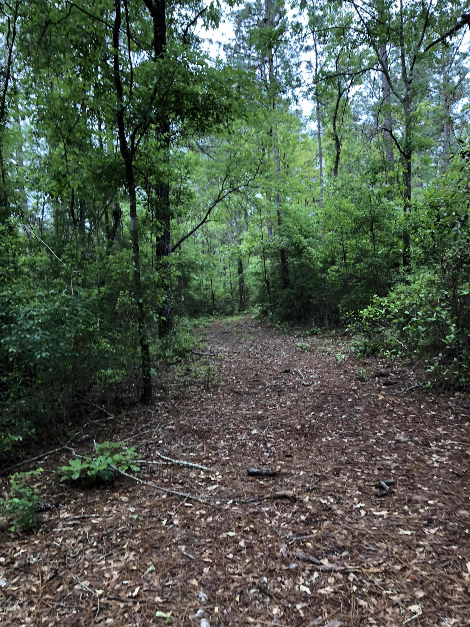 Metes and Bounds - Farm