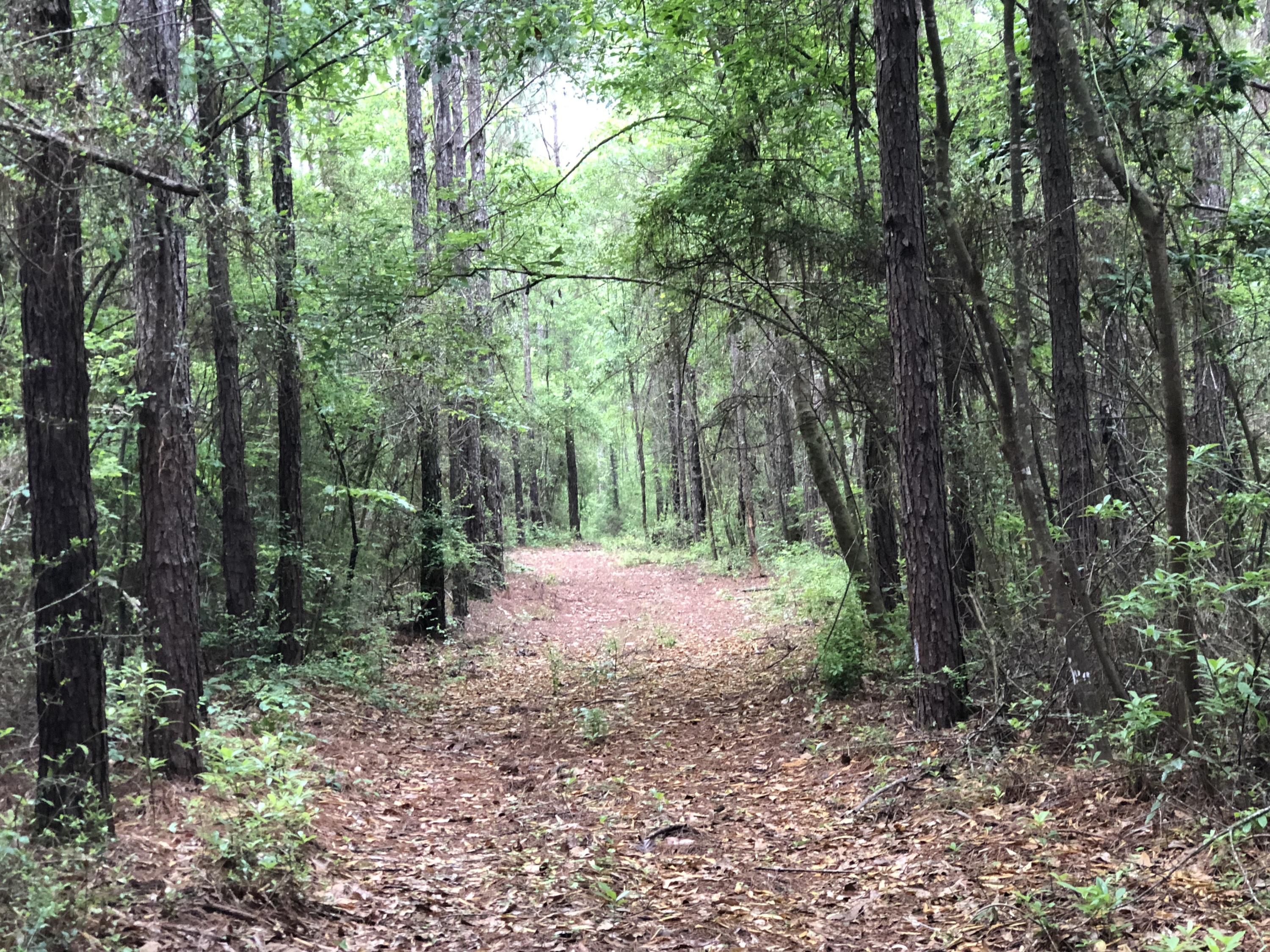 Metes and Bounds - Farm