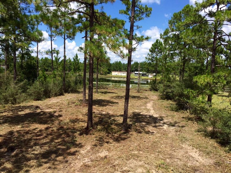 Waterfront lot on Imperial Lake. Scenic and peaceful on County Maintained Paved road with city water. This section of S/D does not allow for mobile homes. A beautiful acre lot with a variety of native trees.