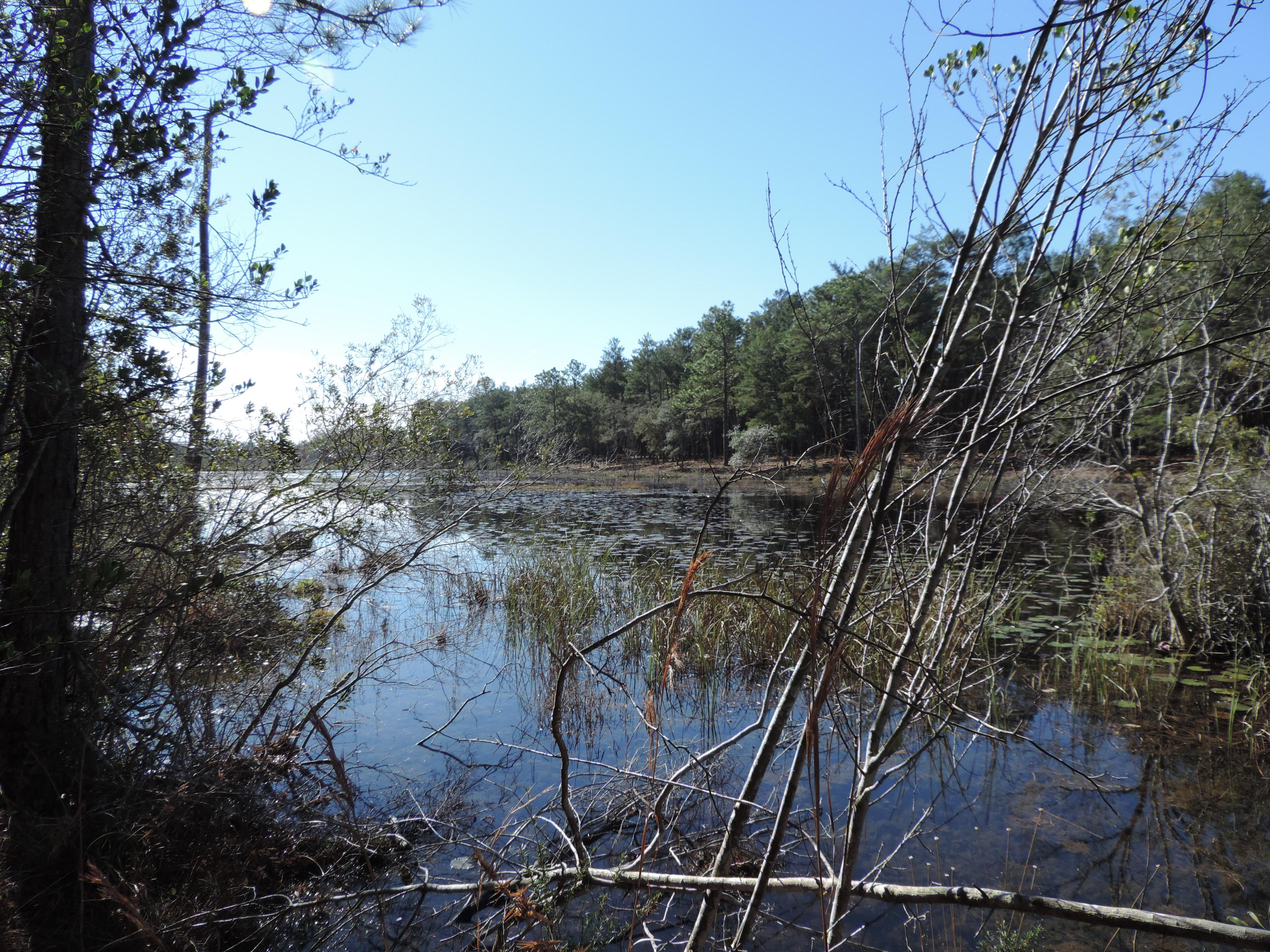 Happy Hollow subdivision is centrally located between rapidly expanding Freeport and the highway 331 bridge. Happy Hollow has no HOA, spacious lots and towering trees. This lot backs up to the lake. There is water access for the owners to Black Creek as well. This development is away from the hustle and noise, yet close to Freeport and minutes from the Gulf beaches. You owe it to yourself to take a look and make this your new dream home or.....buy now and hold for investment. You can't go wrong.
