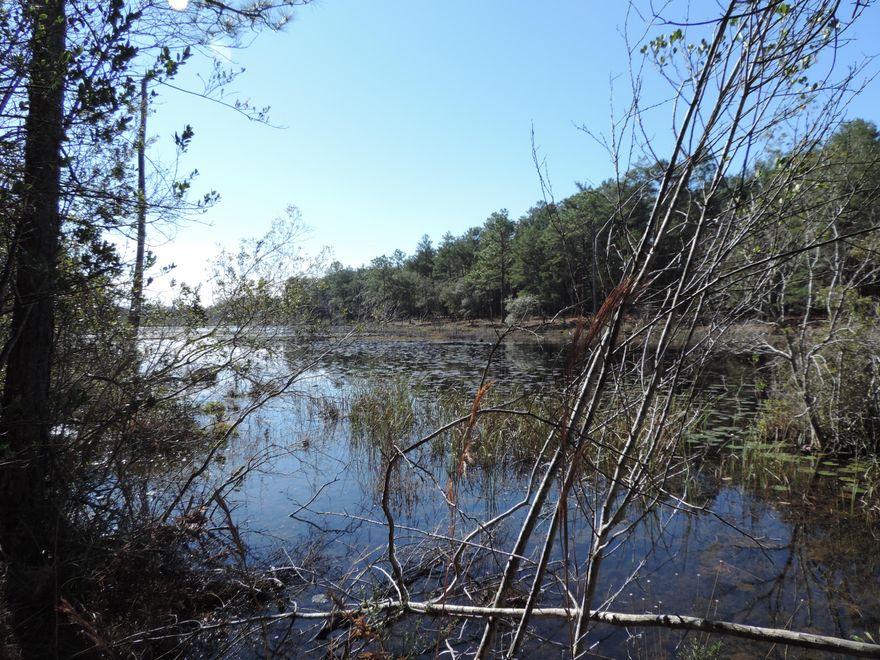 Happy Hollow subdivision is centrally located between rapidly expanding Freeport and the highway 331 bridge. Happy Hollow has no HOA, spacious lots and towering trees. This lot backs up to the lake. There is water access for the owners to Black Creek as well. This development is away from the hustle and noise, yet close to Freeport and minutes from the Gulf beaches. You owe it to yourself to take a look and make this your new dream home or.....buy now and hold for investment. You can't go wrong.