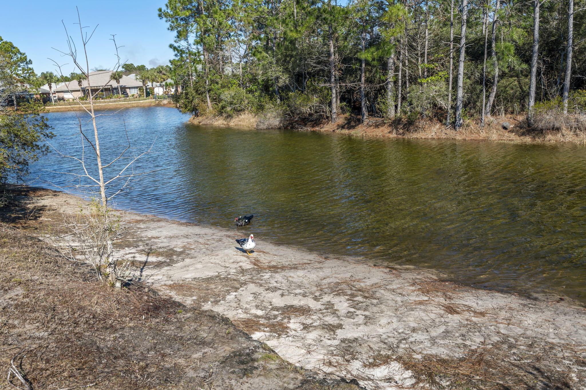 PARKER'S LANDING - Residential