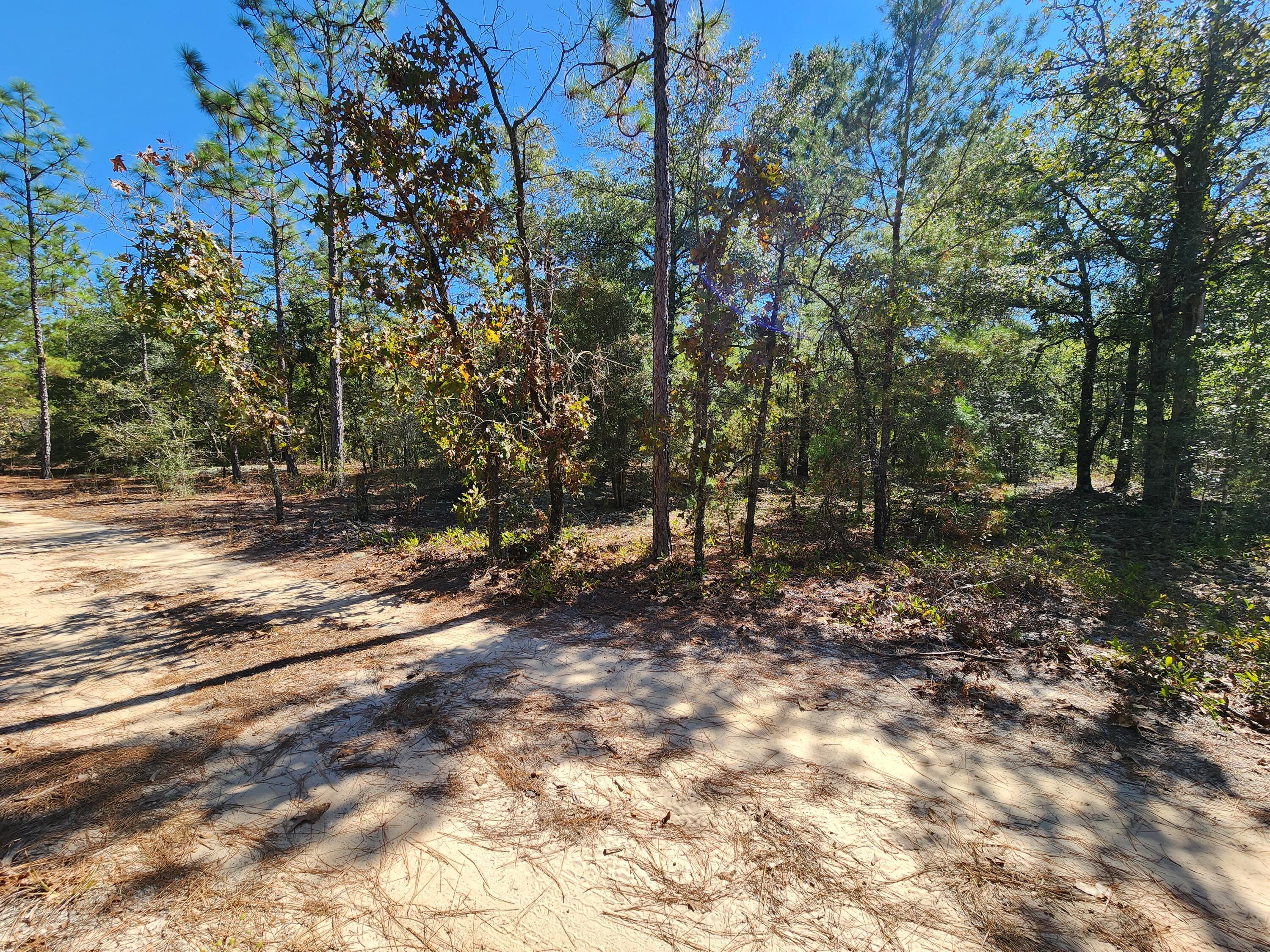 OAKWOOD HILLS UNIT 2 - Land