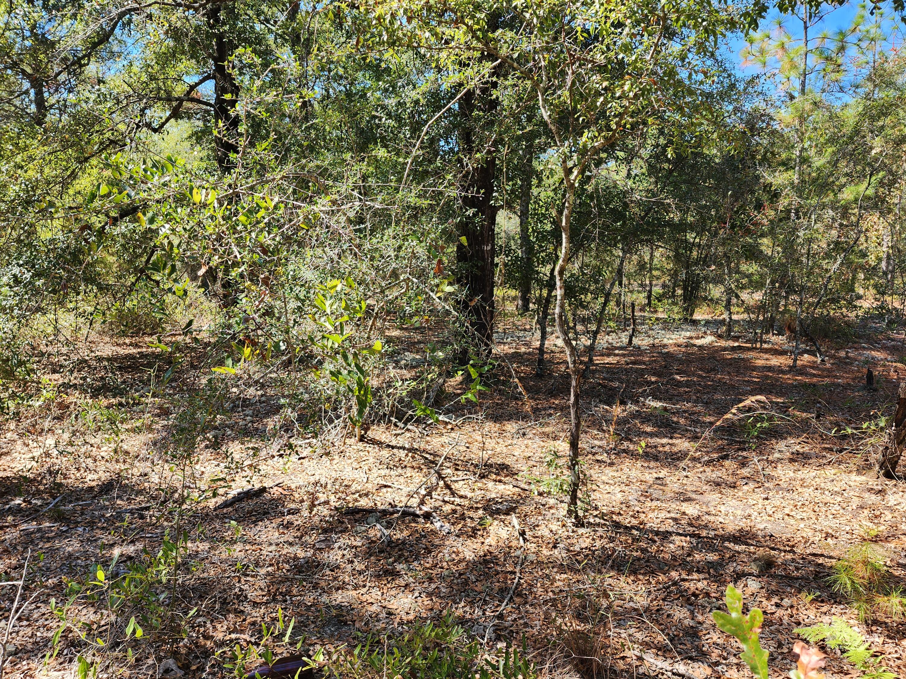 OAKWOOD HILLS UNIT 2 - Land